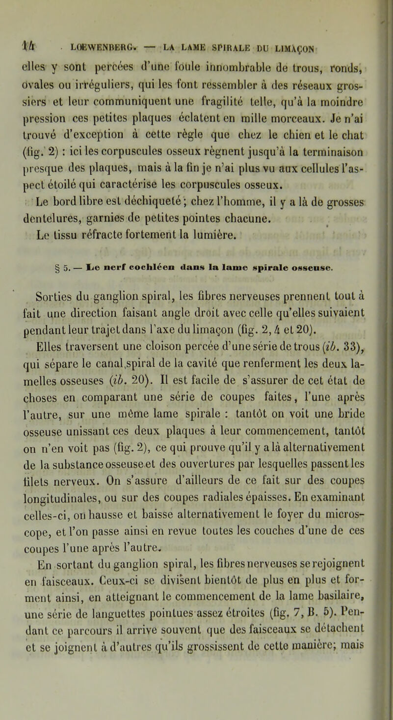 elles y sont percées d'une foule innombrable de trous, ronds, Ovales ou irréguliers, qui les font ressembler à des réseaux gros- siers et leur communiquent une fragilité telle, qu'à la moindre pression ces petites plaques éclatent en mille morceaux. Je n'ai trouvé d'exception à cette règle que chez le chien et le chat (ifig. 2) : ici les corpuscules osseux régnent jusqu'à la terminaison presque des plaques, mais à la fin je n'ai plus vu aux cellules l'as- pect étoilé qui caractérise les corpuscules osseux. Le bord libre est déchiqueté ; chez l'homme, il y a là de grosses dentelures, garnies de petites pointes chacune. Le tissu réfracte fortement la lumière. § 5. — l<e nerf cochléen dans la lame spirale osseuse. Sorties du ganglion spiral, les fibres nerveuses prennent tout à fait une direction faisant angle droit avec celle qu'elles suivaient pendant leur trajet dans Taxe du limaçon (fig. 2, à et 20). Elles traversent une cloison percée d'une série de trous (ib. 33), qui sépare le canal.spiral de la cavité que renferment les deux la- melles osseuses (ib. 20). Il est facile de s'assurer de cet état de choses en comparant une série de coupes faites, l'une après l'autre, sur une même lame spirale : tantôt on voit une bride osseuse unissant ces deux plaques à leur commencement, tantôt on n'en voit pas (fig. 2), ce qui prouve qu'il y a là alternativement de la substance osseuse et des ouvertures par lesquelles passent les filets nerveux. On s'assure d'ailleurs de ce fait sur des coupes longitudinales, ou sur des coupes radiales épaisses. En examinant celles-ci, on hausse et baisse alternativement le foyer du micros- cope, et l'on passe ainsi en revue toutes les couches d'une de ces coupes l'une après l'autre. En sortant du ganglion spiral, les fibres nerveuses se rejoignent en faisceaux. Ceux-ci se divisent bientôt de plus en plus et for- ment ainsi, en atteignant le commencement de la lame basilaire, une série de languettes pointues assez étroites (fig. 7, B. 5). Pen- dant ce parcours il arrive souvent que des faisceaux se détachent et se joignent à d'autres qu'ils grossissent de cette manière; mais