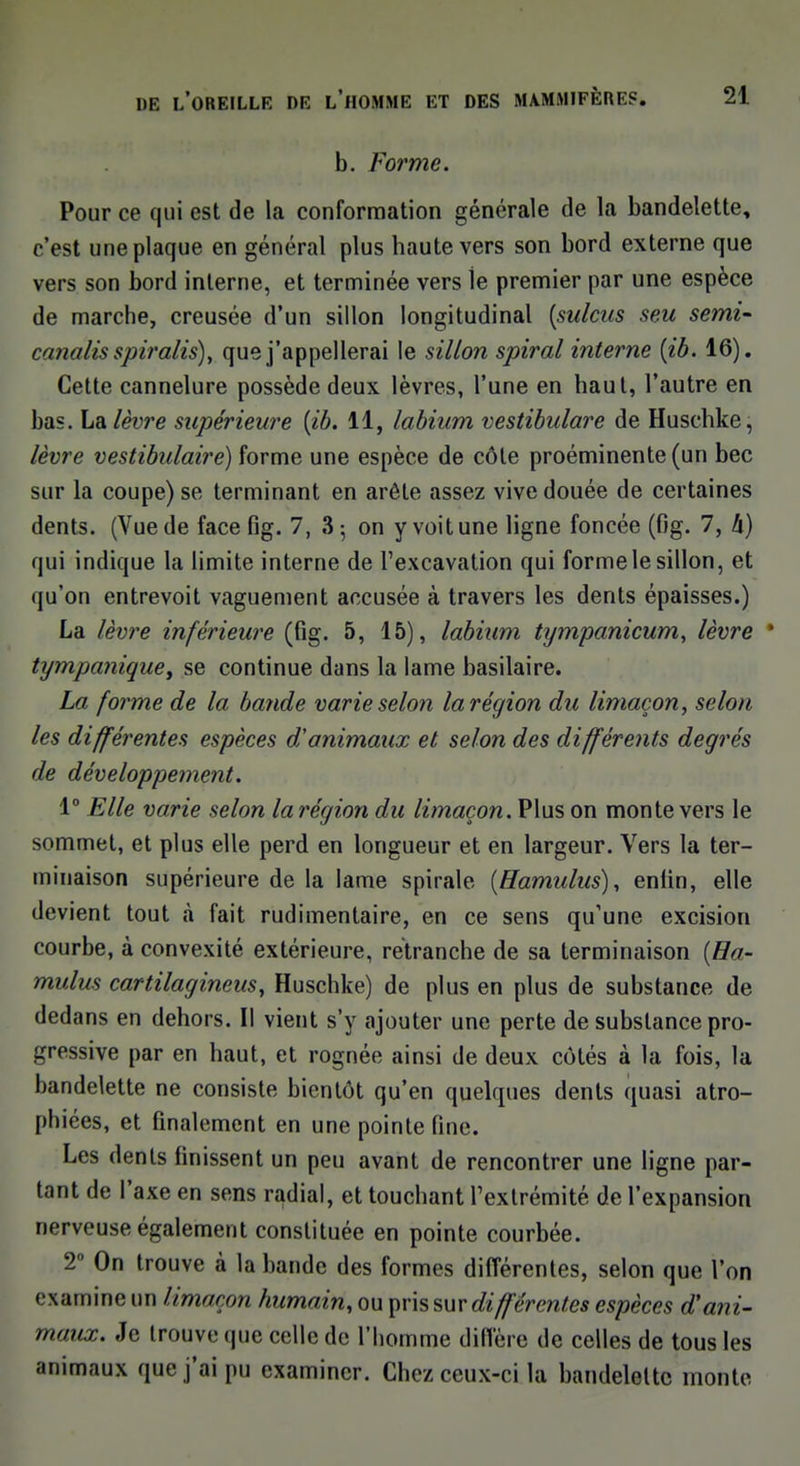 b. Forme. Pour ce qui est de la conformation générale de la bandelette, c'est une plaque en général plus haute vers son bord externe que vers son bord interne, et terminée vers le premier par une espèce de marche, creusée d'un sillon longitudinal (sulcus seu semi- canalis spiralis), que j'appellerai le sillon spiral interne (ib. 16). Cette cannelure possède deux lèvres, l'une en haut, l'autre en bas. La lèvre supérieure (ib. 11, labium vestibulare de Huschke, lèvre vestibulaire) forme une espèce de côte proéminente (un bec sur la coupe) se terminant en arête assez vive douée de certaines dents. (Vue de face fig. 7, 3; on y voit une ligne foncée (fig. 7, h) qui indique la limite interne de l'excavation qui forme le sillon, et qu'on entrevoit vaguement accusée à travers les dents épaisses.) La lèvre inférieure (fig. 5, 15), labium tijmpanicum, lèvre * tympa?iique> se continue dans la lame basilaire. La forme de la bande varie selon la région du limaçon, selon les différentes espèces d'animaux et selon des différents degrés de développement. 1° Elle varie selon la région du limaçon. Plus on monte vers le sommet, et plus elle perd en longueur et en largeur. Vers la ter- minaison supérieure de la lame spirale (Hamulus), eniin, elle devient tout à fait rudimentaire, en ce sens qu'une excision courbe, à convexité extérieure, rétranche de sa terminaison (Ha- mulus cartilagincus, Huschke) de plus en plus de substance de dedans en dehors. Il vient s'y ajouter une perte de substance pro- gressive par en haut, et rognée ainsi de deux côtés à la fois, la bandelette ne consiste bientôt qu'en quelques dents quasi atro- phiées, et finalement en une pointe fine. Les dents finissent un peu avant de rencontrer une ligne par- tant de l'axe en sens radial, et touchant l'extrémité de l'expansion nerveuse également constituée en pointe courbée. 2° On trouve à la bande des formes différentes, selon que l'on examine un limaçon humain, ou pris sur différentes espèces d'ani- maux. Je trouve que celle de l'homme diffère de celles de tous les animaux que j'ai pu examiner. Chez ceux-ci la bandelette monte