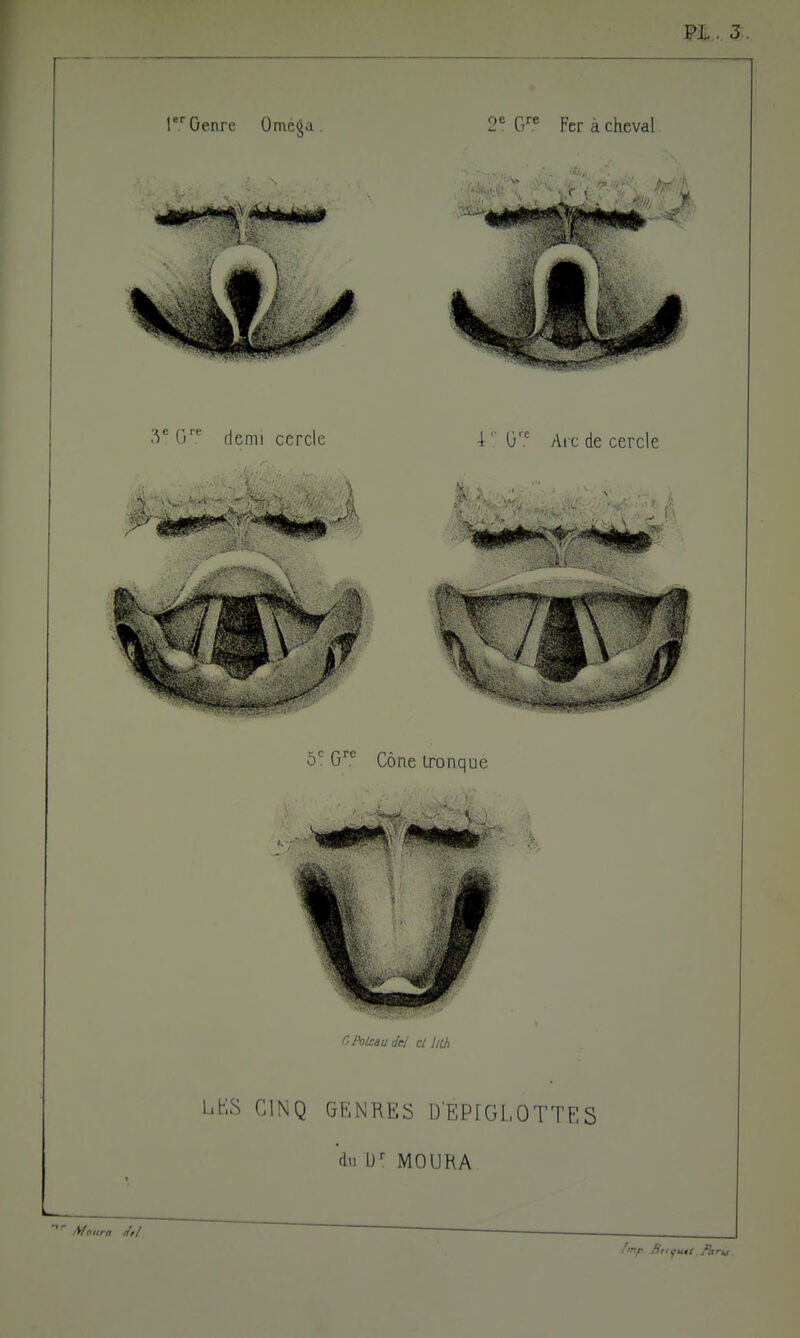 Pi.. 3. y(y^ demi cercle 4 '; 0'' Arc de cercle 6^ G^.^ Cône troaque - ^ 1 nPoLcauJel et lith L.t:S CINQ GENRES D'EPIGLOTTES du MOUHA Ajoura //// /'Tr Sr.-çut( Partit