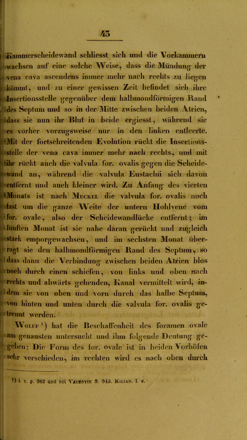 45 nammerscLeidewand scliliesst sich und die Vorkammern wachsen auf eine solche Weise, dass die Mündung- der vona eava ascendens immer mein* nach rechts zu lieg-en iiömmt, und zu einer j^i-ovissen Zeit befindet sich ihre Jnsertionsstelle geg^enüber dem halbmondförmigen Rand des Septum und so in der Mitte zwischen beiden Atrien, (lass sie nun ihr Blut in beide ergiesst, während sie ('S vorher vorzugsweise nur in den linken entleerte. 3Iit der fortschreitenden Evolution rückt die Insertions- 1- • stelle der vena cava immer mehr nach rechts, und mit > iihr rückt auch die valvula for. ovalis gegen die Scheide- I» wand an, während die valvula Eustachii sieh davon } entfernt und auch kleiner wird. Zu Anfang des vierten >t Monats ist nach Meckel die valvida for. ovalis noch •r; fast um die ganze Weite der untern Hohlvene vom for. ovale, also der Scheidewandlücke entfernt 5 im lünflen 3Ionat ist sie nahe daran gerückt und zugleich stark emporgewachsen, und im sechsten Monat über- ragt sie den halbmondförmigen Rand des Septum ^ so »lass dann die Verbindung zwischen beiden Atrien blos noch durch einen schiefen, von linlts und oben nach rechts und abwärts gehenden, Kanal vermittelt wird, ia- <lem sie von oben und vorn durch das halbe Septum, ^on hinten und unten durch die valvula for. ovalis ge- '< trennt werden. WoLFF ') hat die BeschafTcnhcit des foramen ovale ^ni genausten untersucht und üun folgende Deutung ge- flohen: Die Form des for. ovale ist in beiden Vorhöfen sehr verschieden, im rechten wird es nach oben durch O l c. p, 362 und bei Vjii»«iin S, 3W. Kiuan. 1. e.