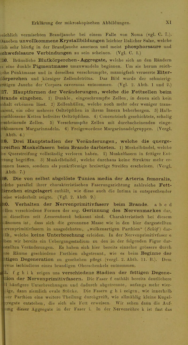 ■ eichlich vermischten Brandjauche bei einem Falle von Noma (vgl. C. 7.). iJaneben unvollkommene Krystallbildungen leichter löslicher Salze, welche lieh sehr häufig in der Brandjauche ansetzen und meist phosphorsaure und schwefelsaure Verbindungen zu sein scheinen. (Vgl. C. 1.) 116. Bräunliche Blutkörperchen-Aggregate, welche sich an den Rilndern ni eine dunkle Pigmentmasse umzuwandeln beginnen. Um sie herum reich- i;.che Punktmasse und in derselben verschrumpfte, mannigfach verzerrte Eiter- liörperchen und körniger Zellendetritus. Das Bild wurde der schmierig- fettigen Jauche der Corpora cavernosa entnommen. (Vgl. 2. Abth. 1 und 2.) 117. Hauptformen der Veränderungen, welche die Fettzellen beim Krande eingehen. 1) Dunkle, eingeschrumpfte Zellen, in denen sich kein nhalt erkennen lässt. 2) Zellenhüllen, welche noch mehr oder weniger trans- narent, ein oder mehrere Oeltröpfchen in ihrem Innern beherbergen. 3) Halb- rtfschlossene Ketten befreiter Oeltröpfchen. 4) Concentrisch geschichtete, schalig ['•scheinende Zellen. 5) Verschrumpfte Zellen mit durchscheinenden einge- N'.hlossenen Margarinnadeln. 6) Freigewordene Margarinnadelgruppen. (Vergl. Abth. 4.) !t8. Drei Hauptstadien der Veränderungen, welche die querge- xreiften Muskelfasern beim Brande darbieten, 1) Muskelbündel, welche le Querstreifung vollständig verloren haben. 2) Muskelfasern in fettiger Fnt- vtung begriffen. 3) Muskelbündel, welche durchaus keine Struktur mehr er- innen lassen, sondern als punktförmige breiartige Streifen erscheinen. (Vergl. Abth. 7.) 89. Die von selbst abgelöste Tunica media der Arteria femoralis, •;lche parallel ihrer charakteristischen Faserungsrichtung zahlreiche Fett- nrnchen eingelagert enthält, wie diess auch die Intima in entsprechender ■ eise wiederholt zeigte. (Vgl. 2. Abth 9.) *0. Verhalten der Nervenprimitivfaserr beim Brande, a b c d llen verschiedene Formen der sog. Gerinnung des Nervenmarkes dar, e dieselben seit Leuwenlioeck bekannt sind. Charakteristisch bei diesem Unoraen ist, dass sich die geronnene Masse wie in den hier dargestellten rvcnprimitivfasern in ausgedehnten, „wolkenartigen Parthien (Schif) dar- 11t, welche keine Unterbrechung erleiden. In der Nervenprimitivfaser e ben wir bereits ein Uebergangsstadiuni zu den in der folgenden Figur dar- • itellten Veränderungen. Es haben sich hier bereits einzelne grössere durch rre Räume geschiedene Parthien abgetrennt, wie es beim Beginne der xtigen Degeneration zu geschehen pflegt (vergl. 2. Abtli. 11. B.). Dem ifvus ischiadicus eines brandigen Oberschenkels entnommen. ■Ii. f g h i k zeigen uns verschiedene Stadien der fettigen Degene- jldon der Nervenprimitivfasern. Die Faser f enthält bereits deutlichere jll liäufigere Unterbrechungen und dadurch abgetrennte, anfangs mehr vier- 11 ige, dann ziemlich ovale Stücke. Die Fasern g h i zeigen, wie innerhalb II .-er Parthien eine weitere Theilung durchgreift, wie allmäiilig kleine Kugel- jl ;regate entstehen, die sich als Fett erweisen. Wir sehen dann die Aiif- 11 mg dieser Aggregate in der Faser i. In der Nervenröhre k ist fast das