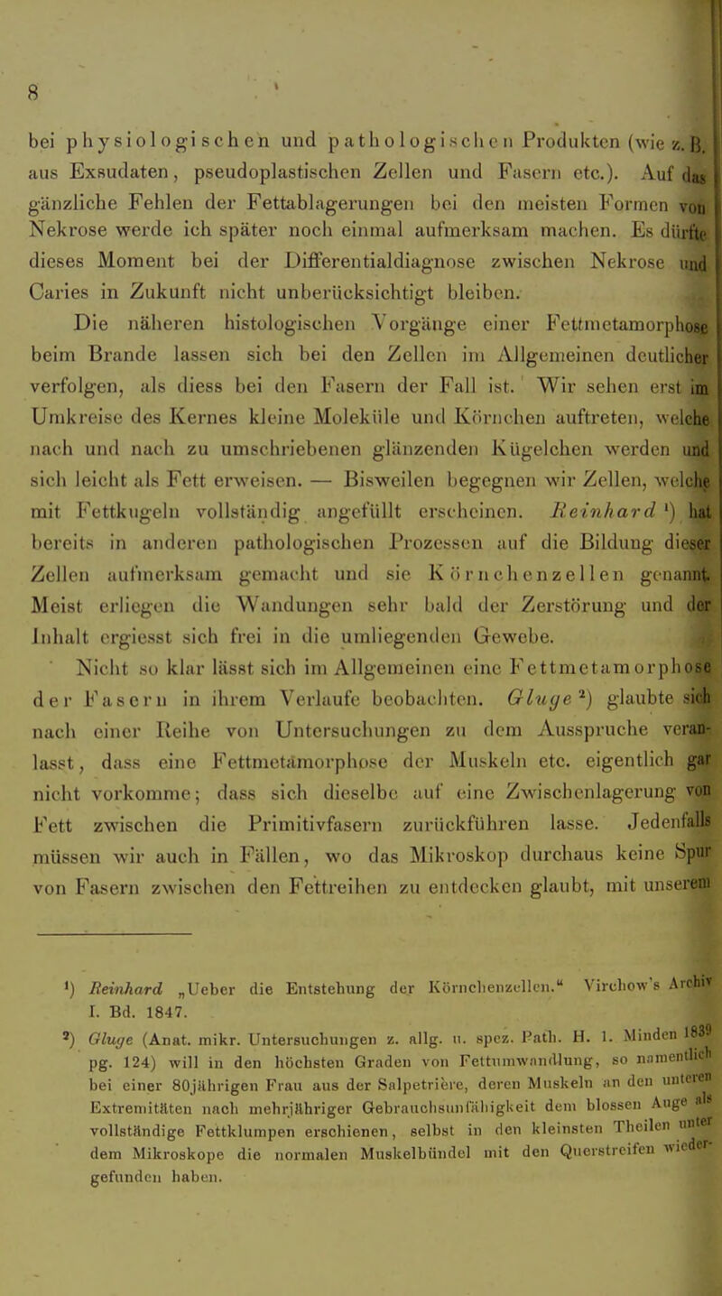 bei physiologischen und patho 1 ogisehc n Produkten (wie z.B. aus Exsudaten, pseudoplastischen Zellen und Fasern etc.). Auf das gänzliche Fehlen der Fettablagerungen bei den meisten Formen von Nekrose werde ich später noch einmal aufmerksam machen. Es dürfte dieses Moment bei der Differentialdiagnose zwischen Neki-ose und Caries in Zukunft nicht unberücksichtigt bleiben. Die näheren histologischen Vorgänge einer Fettmetamorphose ! beim Brande lassen sich bei den Zellen im Allgemeinen deutlicher i verfolgen, als diess bei den Fasern der Fall ist. Wir sehen erst im j Umkreise des Kernes kleine Moleküle und Körnche]) auftreten, welche | nach und nach zu umschriebenen glänzenden Kügelchen werden und sich leicht als Fett erweisen. — Bisweilen begegnen wir Zellen, welche mit Fettkiigeln vollständig angefüllt erscheinen. Reinhard ') hat bereits in andei-en pathologischen Prozessen auf die Bildung dieser Zeilen aufmerksam gemacht und sie Körnchenzellen genannt Meist erliegen die Wandungen sehr bald der Zerstörung und der Inhalt ergiesst sich frei in die umliegenden Gewebe. Nicht so klar lässt sich im Allgeineinen eine Fettmetamorphose der Fasern in ihrem Verlaufe beobacliten. Ohige^) glaubte sich nach einer Reihe von Untersuchungen zu dem Ausspruche veran- lasst, dass eine Fettmetämorphose der Muskeln etc. eigentlich gar nicht vorkomme; dass sich dieselbe auf eine Zwischenlagerung von Fett zwischen die Primitivfasern zurückführen lasse. Jedenfalls müssen wir auch in Fällen, wo das Mikroskop durchaus keine Spur von Fasern zwischen den Fettreihen zu entdecken glaubt, mit unserem 1) Reinhard „Ueber die Entstehung der Köinclienzcllcn. Vircliow's Archiv I. Bd. 1847. ») Gluge (Anat. mikr. Untersuchungen z. allg. ii. spcz. Path. H. 1. Minden 183'.' pg. 124) will in den höchsten Graden von Fettnmwiindlung, so nanientlidi bei einer SOjUhrigen Frau aus der Snlpetrierc, deren Muskeln an den unteren Extremitäten nach mehrjähriger Gebrauohsunfähigkeit dem blossen Ange als vollständige Fettklumpen erschienen, selbst in den kleinsten Theilen un'ef dem Mikroskope die normalen Muskelbündcl mit den Querstreifen wieder- gefunden haben.