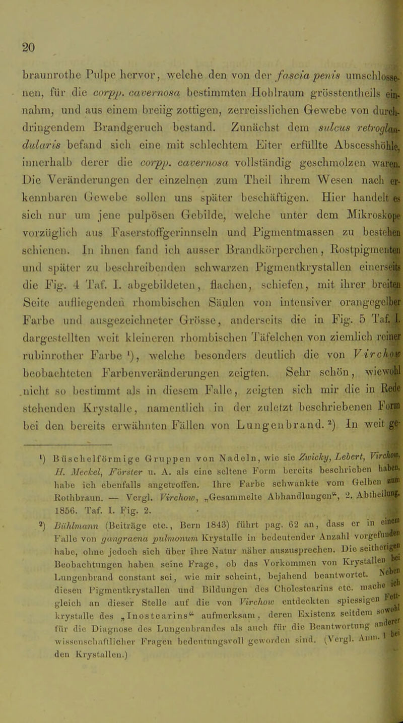 braunrothe Pulpe hervor, welche den von der fascia pents umschloi5,se- nen, für die corpjj. cavernosa bestimmten Hohlraum grösstenthcils ein- nalim, und aus einem breiig zottigen, zerreisslichen Gewebe von durch- dringendem Brandgeruch bestand. Zunächst dem sulcus retroglan- dularis befand sicli eine mit schlechtem Eiter erfüllte Abscesshöhle, iimerhalb derer die corpp. cavernosa vollständig geschmolzen waren. Die Veränderungen der einzelnen zum Theil ilu-em Wesen nach er- kennbaren Gewebe sollen uns später beschäftigen. Hier handelt es sich nur um jene pulpöscn Gebilde, welche unter dem Mikroskope vorzüglicli aus Faserstoffgcrinnseln und Pignientmassen zu bestehen schienen. In ihnen fand ich ausser Brandkörperchen, Rostpignieiiten un<l später zu beschreibenden schwarzen Pigmentkrystallen einerseits die Fig. 4 Tat. I. abgebildeten, flachen, schiefen, mit ihrer breiteu Seite atiHicgenden rhombischen Säjilen von intensiver orangcgclber Farbe und ausgezeichneter Grösse, anderseits die in Fig. 5 Tai. 1. dargestellten weit kleineren rhombisclien Täfelchen von ziemhch rcin^ rubinrothcr Farbe '), welche besonders deutlich die von Virchow beobachteten Farbenveränderungen zeigten. Sehr schön, wiewohl nicht so bestimmt als in diesem Falle, zeigten sich mir die in Rede stehenden Krystalle, namentlich in der zuletzt beschriebenen Form bei den bereits erwähnten Fällen von Lungenbrand.*) In weit ge- ') Büschelförmige Oiruppeii von }i ad ein, v/ie sie Ztvicky, Leber t, Virehoa, n. Meckel, Förster \i. A. als eine seltene Form bereits beschrieben haben, habe ich ebenfalls angeti-offen. Ihre Farbe schwankte vom Gelben tm Kothbraiin. — Vergl. Virchow, „Gesammelte Abhandlungen, i. Ahthoilnng- 1856. Taf. I. Fig. 2. ») Biihlmann (Beiträge etc., Bern 1843) führt pag. 62 an, dass er in einem Falle von gaiigraena jndmcynum Krystalle in bedeutender Anzahl vorgefiiude habe, ohne jedoch sich über ihre Natur näher auszusprechen. Die seithorigeii Beobachtungen haben seine Frage, ob das Vorkommen von Krystallen Lungenbrand constant sei, wie mir scheint, bejahend beantwortet. Ne e^ diesen Pigmentkrystallen und Bildungen des Cholcstearins etc. niaclio i gleich an dieser Stelle auf die von Virchotv entdeckten spiessigcn 1'«'' krystalle des „ Inos tearins aufmerksam, deren Existenz seitdem sojoj^ für die Diagnose des Lungenbrandos als auch für die Beantwortung an e'^^ wissenschaftlicher Fragen bedeutungsvoll geworden sind. (,Vcrgi. Aui. den Krystallen.)