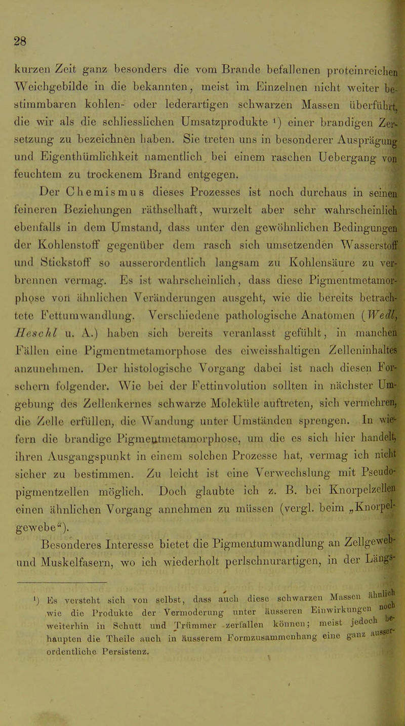 kurzen Zeit ganz besonders die vom Bi-ande befallenen proteinrciclipn Weiehgebilde in die bekannten, meist im Einzelnen nicht weiter stirambaren kohlen- oder lederartigen schwarzen Massen überfährt, die wir als die schliesslichen Umsatzprodukte ') einer brandigen Zr Setzung zu bezeichnfen haben. Sie treten uns in besonderer Auspräguug und Eigenthümlichkeit namentlich bei einem raschen Uebergang vi feuchtem zu trockenem Brand entgegen. Der Chemismus dieses Prozesses ist noch durchaus in seinen feineren Beziehungen räthselhaft, wurzelt aber sehr wahrscheinlich ebenfalls in dem Umstand, dass unter den gewöhnlichen Bedingungen der Kohlenstoff gegenüber dem rasch sich umsetzenden Wasserstoff und Stickstoff so ausserordentlich laugsam zu Kolücnsäure zu vei- brennon vermag. Es ist wahrscheinlich, dass diese Pigmentmetamor- phose von ähnlichen Veränderungen ausgeht, wie die bereits betrach- tete Fettumwandlung. Verschiedene pathologische Anatomen {Wedl, Heschl u. A.) haben sich bereits veranlasst gefühlt, in manchen Fällen eine Pigmentmetamorphose des ciweisshaltigen Zellcninhaltes anzunehmen. Der histologische Vorgang dabei ist nach diesen For- sciiern folgender. Wie bei der Fettinvolution sollten in nächster Um- gebung des Zelleiikernes schwarze Moleküle auftreten, sich vermehren, die Zelle erfüllen, die Wandung unter Umständen sprengen. In wie- fern die brandige Pigmeutmetamorphose, um die es sich hier handelt, ihren Ausgangspunkt in einem solchen Prozesse hat, vermag ich nicht sicher zu bestimmen. Zu leicht ist eine Verwechslung mit Pseudo- pigmentzellen möglich. Doch glaubte ich z. B. bei Knorpelzcllen einen ähnUchen Vorgang annehmen zu müssen (vergl. beim „Knorpel- gewebe). Besonderes Interesse bietet die Pigmeatumwandlung an Zellgcweb- und Muskelfasern, wo ich wiederholt perlschnurartigen, in der Lüngs- ') Es versteht sich von selbst, dass auch diese schwarzen Massen iii>'^| wie die Produkte der Verniodorung unter äusseren Einwirkungen no^^ weiterhin in Schutt und Trümmer zerfallen können; meist jedoch haupten die Theile auch in äusserem Formzusammenhang eine ganz 'i ordentliche Persistenz. f