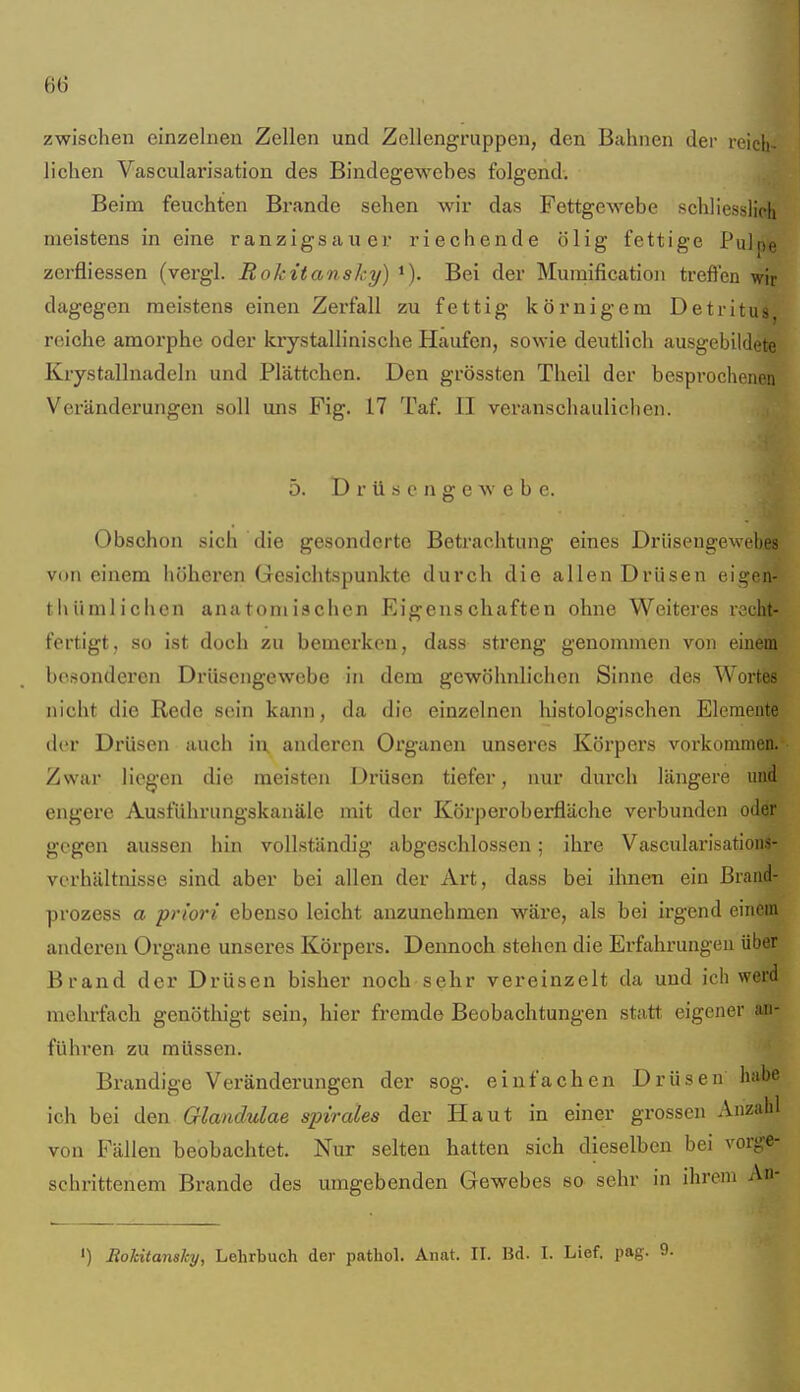 zwischen einzelneu Zellen und Zellengruppen, den Bahnen der reich- lichen Vascularisation des Bindegewebes folgend. Beim feuchten Brande sehen wir das Fettgewebe schliesslich meistens in eine ranzigsauer riechende ölig fettige Pulpe zcrfliessen (vergl. Rokitansky) Bei der Mumification treffen wir dagegen meistens einen Zex'fall zu fettig körnigem Detritus, reiche amorphe oder krystallinische Haufen, sowie deutlich ausgebildete Krystallnadeln und Plättchen. Den grössten Theil der besprochenen Veränderungen soll uns Fig. 17 Taf. II veranschauliclien. 5. D r ü s e n g e w e b c. Obschon sich die gesonderte Betrachtung eines Drüsengewebes von einem höheren Gesichtspunkte durch die allen Drüsen eigen- thümlichcn anatomischen Eigenschaften ohne Weiteres recht- fertigt, so ist doch zu bemerken, dass streng genommen von einem besonderen Drüsengewebe in dem gewöhnlichen Sinne des Wortes nicht die Rede sein kann, da die einzelnen lustologischen Elemente der Drüsen auch in anderen Organen unseres Körpers voi'kommen. Zwar liegen die meisten Drüsen tiefer, nur durch längere und engere Ausführungskanäle mit der Körperoberfläche verbunden oder gegen aussen hin vollständig abgeschlossen; ihre Vascularisations- vcrhältnisse sind aber bei allen der Art, dass bei ihnen ein Brand- prozess a priori ebenso leicht anzunehmen wäre, als bei irgend einem anderen Organe unseres Körpers. Dennoch stehen die Erfahrungen über Brand der Drüsen bisher noch sehr vereinzelt da und ich werd melirfach genöthigt sein, hier fremde Beobachtungen statt eigener an- führen zu müssen. Brandige Veränderungen der sog. einfachen Drüsen habe ich bei den Glandulae spirales der Haut in einer grossen Anzahl von Fällen beobachtet. Nur selten hatten sich dieselben bei vorge- schrittenem Brande des umgebenden Gewebes so sehr in ihrem An- ') Roldtansky, Lehrbuch der pathol. Anat. II. Bd. I. Lief. pag. 9.