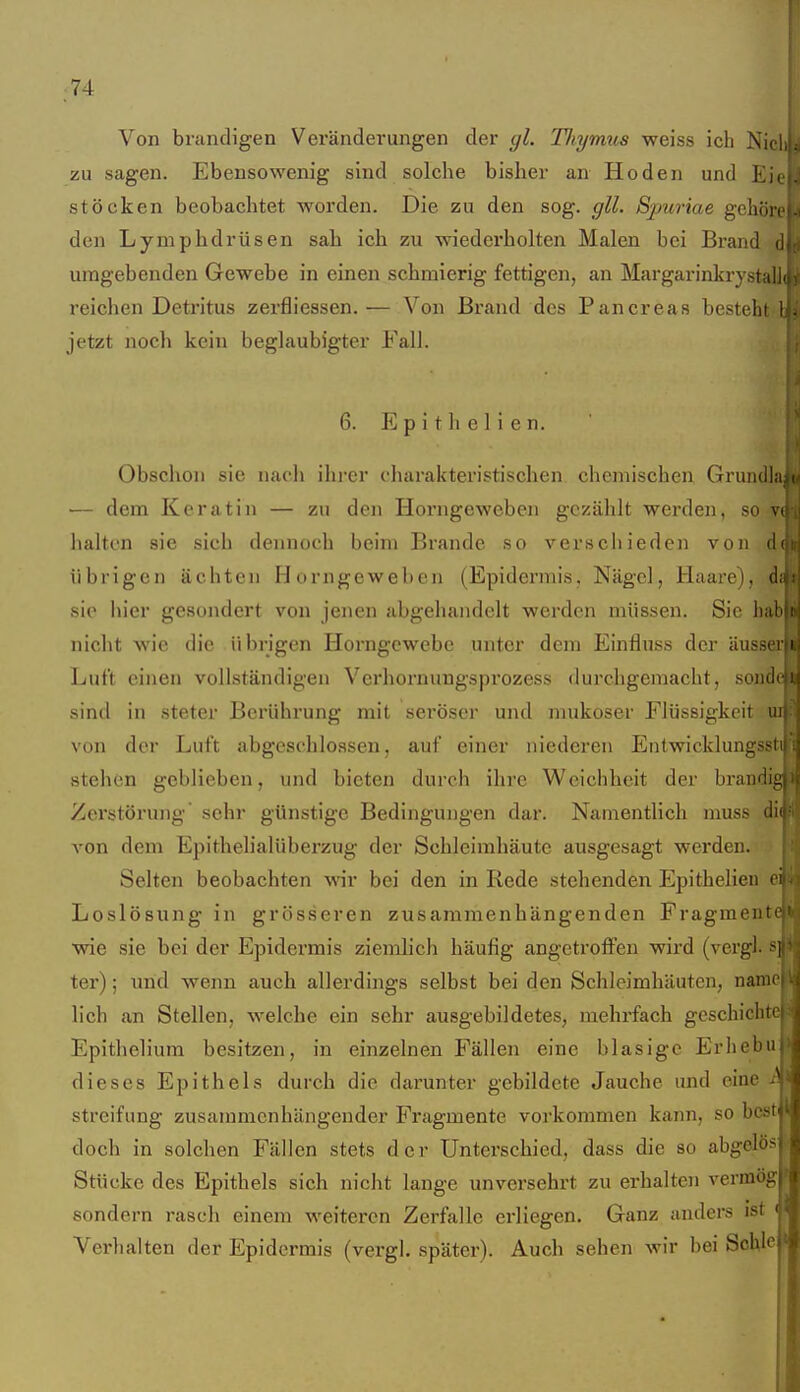 Von brandigen Veränderungen der gl. TJiymus weiss ich Niel zu sagen. Ebensowenig sind solche bisher an Hoden und Eii Stöcken beobachtet worden. Die zu den sog. gll. Sjjwiae gehöre den Lymphdrüsen sah ich zu wiederholten Malen bei Brand d umgebenden Gewebe in einen schmierig fettigen, an Margarinkrystalli reichen Detritus zerfliessen. ^— Von Brand des Pancreas besteht 1 jetzt noch kein beglaubigter Fall. 6. E p i t Ii c ] i e n. Obschon sie nach ihrer charakteristischen chemischen Grundln — dem Keratin — zu den Horngeweben gezählt werden, so vi halten sie sich dennoch beim Brande so verschieden von d(, übrigen ächten Horngeweben (Epidermis, Nägel, Haare),;' sie liier gesondert von jenen abgehandelt werden müssen. Sie nicht wie die übrigen Horngewebe unter dem Einfluss der äu8ä Luft einen vollständigen Verhornungsprozess durchgemacht, sottfe sind in steter Berührung mit seröser und mukoser Flüssigkeit ui' von der Luft abgeschlossen, auf einer niederen Entwicklungssti) ; stehen geblieben, und bieten durch ihre Weichheit der brandigi Zerstörung sehr günstige Bedingungen dar. Namentlich muss dii von dem Epithelialüberzug der Schleimhäute ausgesagt werden. Selten beobachten wir bei den in Rede stehenden Epithelien ei Loslösung in grösseren zusammenhängenden Fragmente wie sie bei der Epidermis ziemlich häufig angetroffen wird (vergl. si ter); und wenn auch allerdings selbst bei den Schleimhäuten, naraej lieh an Stellen, welche ein sehr ausgebildetes, mehrfach geschichte Epithelium besitzen, in einzelnen Fällen eine blasige Erliebu dieses Epithels durch die darunter gebildete Jauche und eine streifung zusammenhängender Fragmente vorkommen kann, so best doch in solchen Fällen stets der Unterschied, dass die so abgelös ii Stücke des Epithels sich nicht lange unversehrt zu erhalten vermögl sondern rasch einem weiteren Zerfalle erliegen. Ganz anders ist Verhalten der Epidermis (vergl. später). Auch sehen wir bei Schlei