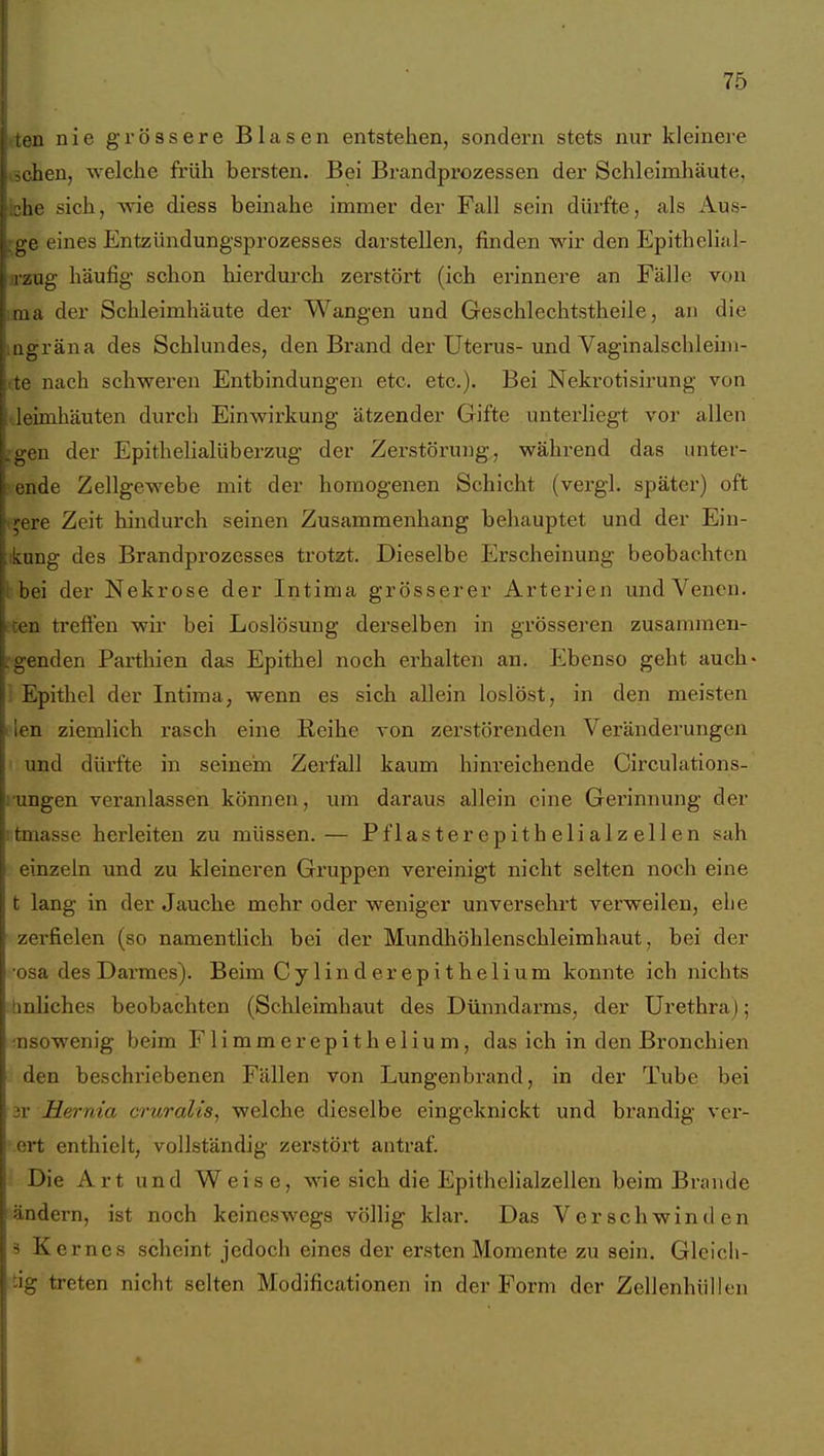 i ; 75 j ten nie grössere Blasen entstehen, sondern stets nur kleinere ^chen, welche früh bersten. Bei Brandprozessen der Schleimhäute, -he sich, wie diess beinahe immer der Fall sein dürfte, als Aus- ge eines Entzündungsprozesses darstellen, finden wir den Epithelial- : i'zug häufig schon hierdurch zerstört (ich erinnere an Fälle von ma der Schleimhäute der Wangen und Geschlechtstheile, an die } ugräna des Schlundes, den Brand der Uterus-und Vaginalschleim- I te nach schweren Entbindungen etc. etc.). Bei Nekrotisirung von leimhäuten durch Einwirkung ätzender Gifte unterliegt vor allen .gen der Epithelialüberzug der Zerstörung, während das unter- ende Zellgewebe mit der homogenen Schicht (vergl. später) oft *jere Zeit hindurch seinen Zusammenhang behauptet und der Ein- ikung des Brandprozessea trotzt. Dieselbe Erscheinung beobachten l bei der Nekrose der Intima grösserer Arterien und Venen, ccen trefien wir bei Loslösung derselben in grösseren zusammen- rgenden Parthien das Epithel noch erhalten an. Ebenso geht auch- i Epithel der Intima, wenn es sich allein loslöst, in den meisten ilen ziemlich rasch eine Reihe von zerstörenden Veränderungen ' und dürfte in seinem Zerfall kaum hinreichende Circulations- i'ungen vei'anlassen können, um daraus allein eine Gerinnung der itmasse herleiten zu müssen.— Pflasterepithelialzellen sah einzeln und zu kleineren Gruppen vereinigt nicht selten noch eine t lang in der Jauche mehr oder weniger unversehrt verweilen, ehe zerfielen (so namentlich bei der Mundhöhlenschleimhaut, bei der osa des Darmes). Beim Cy lind er epithelium konnte ich nichts tmliches beobachten (Schleimhaut des Dünndarms, der Urethra); nsowenig beim Flimmer epithelium, das ich in den Bronchien den beschriebenen Fällen von Lungenbrand, in der Tube bei 3r Hernia cruralis, welche dieselbe eingeknickt und brandig ver- .ert enthielt, vollständig zerstört antraf. Die Art und W^eise, wie sich die Epithelialzellen beim Brande ändern, ist noch keineswegs völlig klar. Das Verschwinden 3 Kernes scheint jedoch eines der ersten Momente zu sein. Gleicli- tig treten nicht selten Modificationen in der Form der Zellenhüllen