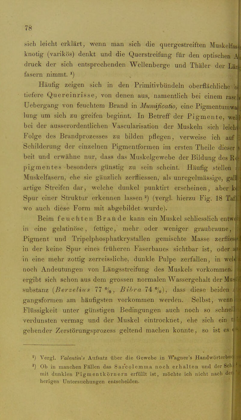 sich leicht erklärt, wenn man sich die quergestreiften Muskelfas. knotig (varikös) denkt und die Querstreifung für den optischen A druck der sich entsprechenden Wellenberge und Thäler der LUi fasern nimmt. ^) Häufig zeigen sich in den Primitivbündeln oberflächliche oi tiefere Quereinrisse, von denen aus, namentlich bei einem rase» Uebergang von feuchtem Brand in Mumificatio, eine Pigmentuiiiwa lung um sich zu greifen beginnt. In BetreflF der Pigmente, ^ bei der ausserordentlichen Vascularisation der Muskeln sich leicht Folge des Brandprozesses zu bilden pflegen, verweise ich auf Schilderung der einzelnen Pigmentformen im ersten Theile diesn i beit und erwähne nur, dass das Muskelgewebe der Bildung des U ■ pigmentes besonders günstig zu sein scheint. Häufig stellen Muskelfasei-n, ehe sie gänzlich zerfliessen, als unregelmässigc, gall artige Streifen dar, welche dunkel punktirt erscheinen, aber k Spur einer Struktur erkennen lassen *) (vergl. hierzu Fig. 18 T; wo auch diese Form mit abgebildet wurde). Beim feuchten Brande kann ein Muskel schliesslich entvi in eine gelatinöse, fettige, mehr oder weniger graubraune, Pigment und Tripelphosphatkrystallen gemischte Masse zerflies in der keine Spur eines früheren Faserbaucs sichtbar ist, oder a in eine mehr zottig zerreissHche, dunkle Pulpe zerfallen, in wel noch Andeutungen von Längsstreifung des Muskels vorkommen, ergibt sich schon aus dem grossen normalen Wassergehalt der Mu Substanz {Berzelius 11'^lo, Bibra 14:°jo), dass diese beiden gangsformen am häufigsten vorkommen werden. Selbst, weön Flüssigkeit unter günstigen Bedingungen auch noch so schnei verdunsten vermag und der Muskel eintrocknet, ehe sich ein gehender Zerstörungsprozess geltend machen konnte, so ist es ') Vergl. Valentiii's Aufsatz über die Gewebe in Wagnei-'s Handwörterbiu *) Ob in manchen Filllen das Sai'col emma noch erhalten und der Sch mit dunklon Pigmentkörnern erfüllt ist, möchte ich nicht nach de herigen Untersuchungen entscheiden.