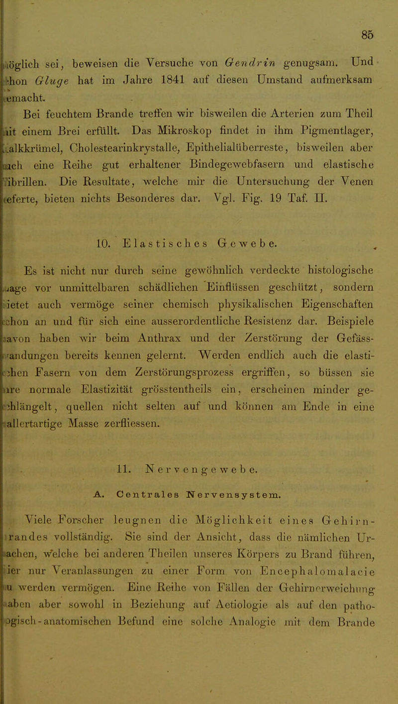 läöglich sei, beweisen die Versuche von Oendrin genugsam. Und ■hhon Ginge hat im Jahre 1841 auf diesen Umstand aufmerksam femacht. Bei feuchtem Brande treffen wir bisweilen die Arterien zum Theil i'iit einem Brei erfüllt. Das Mikroskop findet in ihm Pigmentlager, 'Lalkkrümel, Cholestearinkrystalle, Epithelialüberreste, bisweilen aber «ich eine Reihe gut erhaltener Bindegewebfasern und elastische i'ibrillen. Die Resultate, welche mir die Untersuchung der Venen teferte, bieten nichts Besonderes dar. Vgl. Fig. 19 Taf. II. 10. E 1 a s t i s c h e s G e w e b e. Es ist nicht nur durch seine gewöhnlich verdeckte histologische .ijage vor unmittelbaren schädlichen Einflüssen geschützt, sondern iietet auch vermöge seiner chemisch physikalischen Eigenschaften ?chon an und für sich eine ausserordentliche Resistenz dar. Beispiele aavon haben wir beim Anthrax und der Zerstörung der Gefäss- 'andungen bereits kennen gelernt. Werden endlich auch die elasti- 'jhen Fasern von dem Zerstörungsprozess ergriffen, so büssen sie ure normale Elastizität grösstentheils ein, erscheinen minder ge- :ihlängelt, quellen nicht selten auf und können am Ende in eine gallertartige Masse zei'fliessen. 11. Nervengewebe. A. Centrales Nervensystem. Viele Forscher leugnen die Möglichkeit eines Gehirn- irandes vollständig. Sie sind der Ansicht, dass die nämlichen Ur- iachen, w'elche bei anderen Theilen unseres Körpers zu Brand führen, iier nur Veranlassungen zu einer Form von Encephalomalacie lu werden vermögen. Eine Reihe von Fällen der Gehirnorweichnng laben aber sowohl in Beziehung auf Aetiologie als auf den patho- ogisch-anatomischen Befund eine solche Analogie mit dem Brande