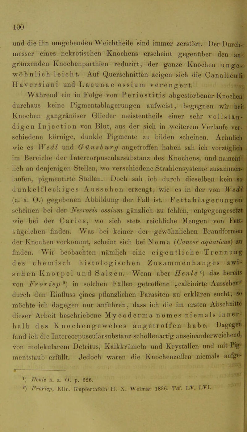 und die ihn umgebenden Weichtheile sind immer zerstört. Der Durch- messer eines nekrotischen Knochens erscheint gegenüber den an^- grunzenden Knochenparthien reduzirt, der ganze Knochen ungo* -w&hnlich leicht. Auf Querschnitten zeigen sich die Canaliculi Haversiani und Lacunae ossium verengert. Während ein in Folge von Periostitis abgestorbener Knochen, durchaus keine Pignicntablagerungen aufweist, begegnen wir ber Knochen gangränöser Glieder nieistentheils einer sehr vollstän- digen In jcotion von Blut, aus der sich in weiterem Verlaufe ver- schiedene körnige, dunkle Pigmente zu bilden scheinen. Aehnlich wie es Wedl und Qünsburg angetroffen haben sah ich vorzüglich im Bereiche der Intercorpuscularsubstanz des Knochens, und nament-i lieh an denjenigen Stellen, avo verschiedene Strahlensysteme zusamme» laufen, pigmentirte Stellen. Doch sali ich durch dieselben kein so- dunkelfleckiges Aussehen erzeugt, wie es in der von Wedl (a. a. 0.) gegebenen Abbildung der Fall ist. FettablagerungoÄ scheinen bei der Necrosis ossmm gänzlich zu fehlen, cntgcgengesetsEt wie bei der Caries, wo sich stets reichliche Mengen von Fetb; Ixügclchen finden. Was bei keiner der gewöhnlichen Brandforme» der Knochen vorkommt, scheint sich bei Noma {Cancer aquaticus) ao' finden. Wir beobachten nämlich eine eigentliche TrennuD'g- des chemisch histologischen Zusammenhanges z wifs sehen Knorpel und Salzen, Wenn aber Henle'-) das bereits von Froriei) ^) in solchen Fällen getroffene „calcinirte Ausseheff^ dui'ch den Einlluss §ines pflanzlichen Parasiten zu erklären sucht, möchte ich dagegen nur anführen, dass ich die im ersten Abschnitte dieser Arbeit beschriebene Mycoderma nomes niemals inn-B«^^ halb des Knochengewebes angetroffen habe. Dagegen fand ich die Intercorpuscularsubstanz schollenartig auseinanderweichend, von molekularem Detritus, Kalkkrümeln und Krystallen und nnt Pig- mentstaub erfüllt. Jedoch waren die Knochenzeilen niemals auf^e- fr— . ^) TIenle a. a. 0. p. 626. Frorlej), Klin. Kupfert.il'elii II. X. Weimar 1836. T«f. LV. I.Vl.