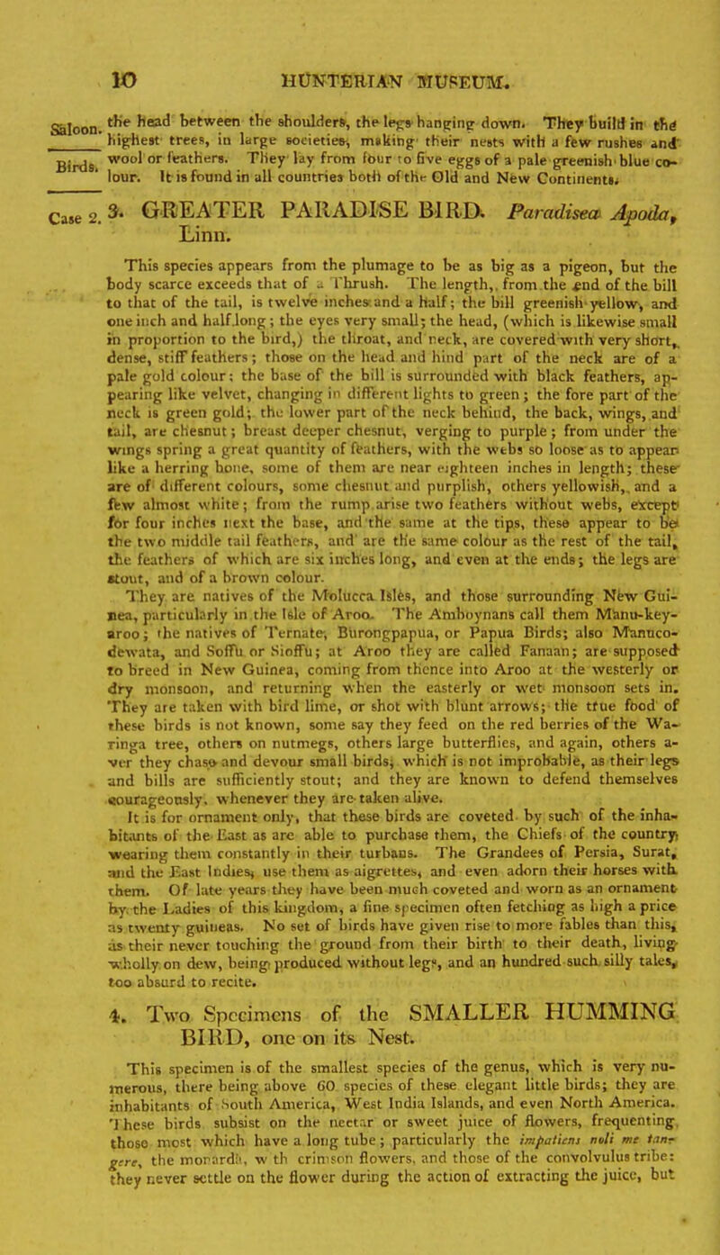 SSiIoon. Head between the shouldert, the-lej;* hanging down. They build in' tfiS ' hig^hest trees, in large societies-, muking' their nests with a few rushes and' Birds, wool or feathers. They lay from fbur to five eggs of a pale greenish'blue ci>- lour. It is found in all countries both of thr Gld and Nfew GontinentSi Case 2. GREATER PARADISE BIRD; Faradisea Apoda, Linn. This species appears from the plumage to be as big as a pigeon, but the body scarce exceeds that of u Thrush. The length,, from the *nd of the bill to that of the tail, is twelve inches:and a half; the bill greenish ytllow^ and one inch and halfjong; the eyes very small; the head, (which is likewise small in proportion to the bird,) the tliroat, and reck, are covered with very shorty dense, stiff feathers; those on the head and hind part of the neck are of a pale gold colour; the base of the bill is surrounded with black feathers, ap- pearing like velvet, changing in different lights to green ; the fore part of the neck is green gold;, the lower part of the neck behind, the back, wings, and tail, are chesnut; breast deeper chesnut, verging to purple; from under the wmgs spring a great quantity of feathers, with the webs so loose as to appear like a herring hone, some of them are near eighteen inches in length; these' are of'different colours, some chesnut and purplish, others yellowish,, and a ffcw almost white; from the rump.arise two feathers without webs, e'xCEpe for four inches next the base, and tHe same at the tips, these appear to oe* the two middle tail feathern, and' are the same colour as the rest of the tail, the feathers of which are six inches long, and even at the ends; the legs are' •tout, and of a brown colour. They are natives of the Molucca Islfes, and those surrounding Nfew Gui- nea, particularly in the Isle of Aroo. The Amboynans call them Miinu-key- aroo; the natives of Ternate-, Blirongpapua, or Papua Birds; also Mannco- dewata, and Soffu or Sioffu; at Aroo they are called Fanaan; are supposed to breed in New Guinea, coming from thence into Aroo at the westerly or dry monsoon, and returning when the easterly or wet' monsoon sets in. They are taken with bird lime, or shot with blunt arrows;-the tfue food of these birds is not known, some say they feed on the red berries of the Wa- ringa tree, others on nutmegs, others large butterflies, and again, others a- ver they chas&and devour small birds; which is not improbaWfe, as their'legs . and bills are sufficiently stout; and they are known to defend themselves •Bourageonsly, whenever they are- taken alive. It is for ornaaient only, that these birds are coveted by such of the inha- bitants of the-East as are able to purchase them, the Chiefs-of the country, -wearing tliem constantly in their turbans. The Grandees of Persia, Surat, Hiid the East Indie&j use them as aigrettes, and even adorn their horses with, them. Of late years they have been much coveted and worn as an ornament by the Ladies of this kingdom, a fine specimen often fetchiog as high a price as twenty guineas. No set of birds have given rise to more fables than this, as- their never touching the ground from their birth' to their death, living- wholly.on dew, being, produced without leg?, and an hundred such, silly tales^ too absurd to recite. 4. Two Specimens of the SMALLER HUMMING BIRD, one on its Nest. This specimen is of the smallest species of the genus, which is very nu- merous, there being above CO species of these elegant little birds; they are inhabitants of .South America, West India Islands, and even North America. '1 hese birds subsist on the iiect.^r or sweet juice of flowers, frequenting, those most which have a long tube; particularly the impaliens noli mc ianr gcre, the morard;', w th crimpon flowers, and those of the convolvulus tribe: they never settle on the flower during the action of extracting the juice, but