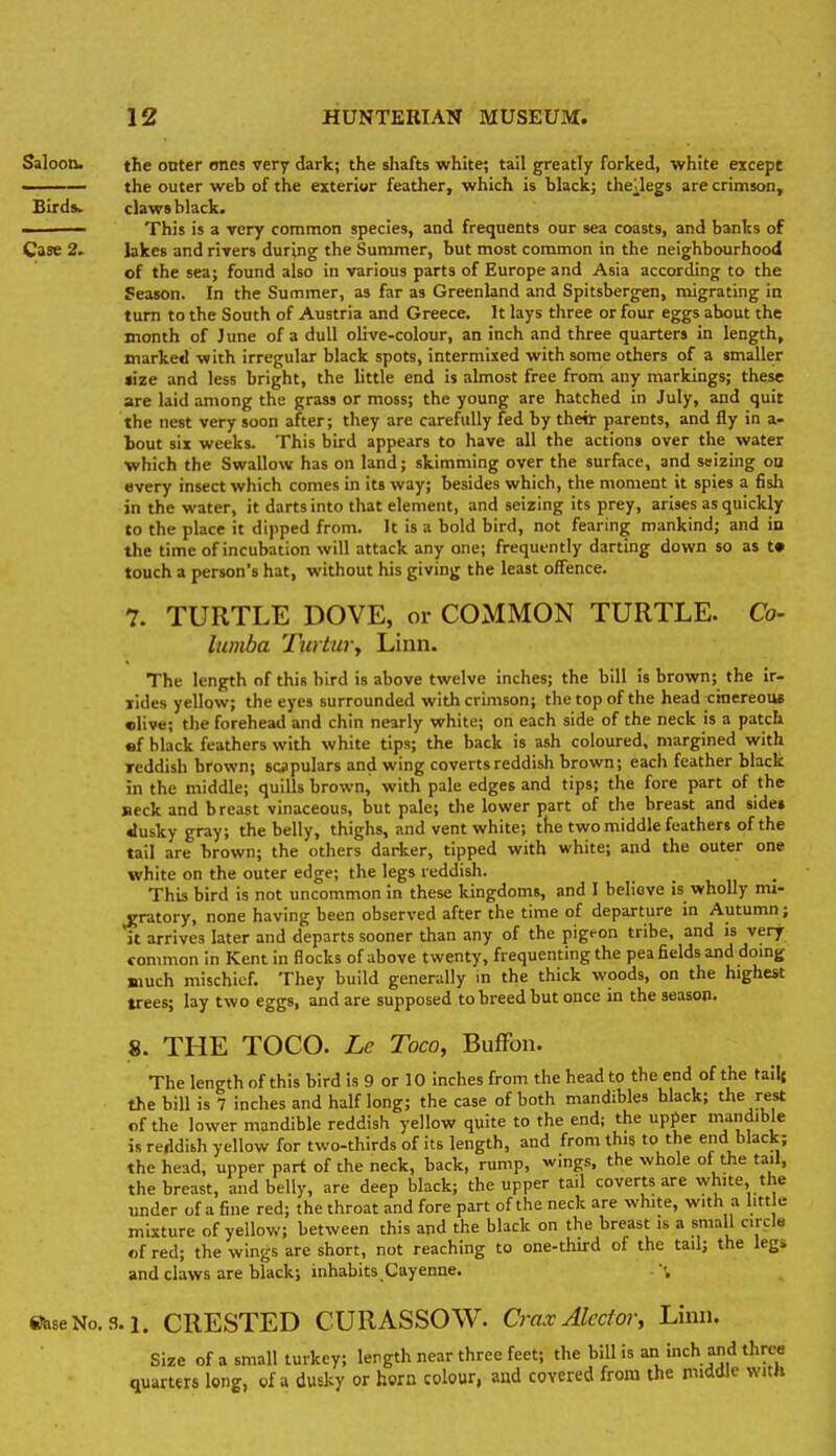 Saloon. Birds. Case 2. the onter ones very dark; the shafts white; tail greatly forked, white except the outer web of the exteriur feather, which is black; theVlegs are crimson, claws black. This is a very common species, and frequents our sea coasts, and banks of lakes and rivers during the Summer, but most common in the neighbourhood of the sea; found also in various parts of Europe and Asia according to the Season. In the Summer, as far as Greenland and Spitsbergen, migrating in turn to the South of Austria and Greece. It lays three or four eggs about the month of June of a dull olive-colour, an inch and three quarters in length, marked with irregular black spots, intermixed with some others of a smaller »ize and less bright, the little end is almost free from any markings; these are laid among the grass or moss; the young are hatched in July, and quit the nest very soon after; they are carefully fed by their parents, and fly in a- bout six weeks. This bird appears to have all the actions over the water which the Swallow has on land; skimming over the surface, and seizing on every insect which comes in its way; besides which, the moment it spies a fisli in the water, it darts into that element, and seizing its prey, arises as quickly to the place it dipped from. It is a bold bird, not fearing mankind; and io the time of incubation will attack any one; frequently darting down so as t» touch a person's hat, without his giving the least offence. TURTLE DOVE, or COMMON TURTLE. lumba Turtui y Linn. Co- The length of this bird is above twelve inches; the bill is brown; the ir- Tides yellow; the eyes surrounded with crimson; the top of the head -cinereou* elive; the forehead and chin nearly white; on each side of the neck is a patch «f black feathers with white tips; the back is ash coloured, margined with Tcddish brown; scjipulars and wing coverts reddish brown; each feather black in the middle; quills brown, with pale edges and tips; the fore part of the neck and breast vinaceous, but pale; the lower part of the breast and side* dusky gray; the belly, thighs, and vent white; the two middle feathers of the tail are brown; the others darker, tipped with white; and the outer one white on the outer edge; the legs reddish. . ■ n This bird is not uncommon in these kingdoms, and I believe is wholly mi- pratory, none having been observed after the time of departure in Autumn; it arrives later and departs sooner than any of the pigeon tribe, and is very common in Kent in flocks of above twenty, frequenting the pea fields and doing much mischief. They build generally m the thick woods, on the highest trees; lay two eggs, and are supposed to breed but once in the season. 8. THE TOCO. Le Toco, BufFon. The length of this bird is 9 or 10 inches from the head to the end of the tailj the bill is 7 inches and half long; the case of both mandibles black; the rest of the lower mandible reddish yellow quite to the end; the upper mandible is reddish yellow for two-thirds of its length, and from this to the end black; the head, upper part of the neck, back, rump, wings, the whole ot the tail, the breast, and belly, are deep black; the upper tail coverts are white, the under of a fine red; the throat and fore part of the neck are white, with a l.tt e mixture of yellow; between this and the black on the breast is a small circle of red; the wings are short, not reaching to one-third of the tail; the legs and claws are black; inhabits.Cayenne. sfe8eNo.3.i. CRESTED CURASSOW. CmxAlcctor, Limi. Size of a small turkey; length near three feet; the bill is an inch and three quarters long, of a dusky or horn colour, and covered from the middle with