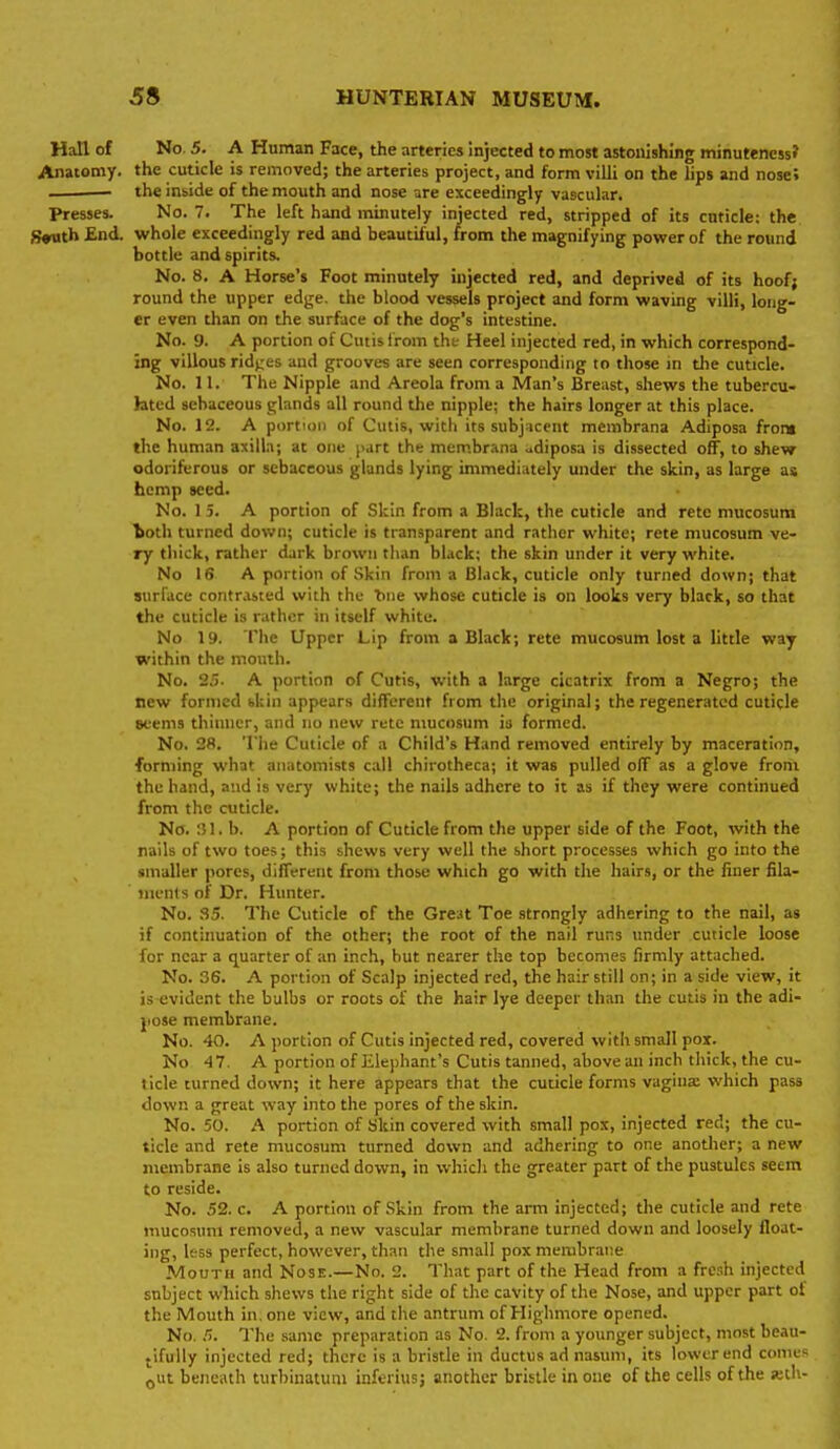 Hall of No 5. A Human Face, the arteries injected to most astonishing minuteness^ Anatomy, the cuticle is removed; the arteries project, and form villi on the lips and nose; the inbide of the mouth and nose are exceedingly vascular. Presses. No. 7. The left hand minutely injected red, stripped of its cntide: the S^th £nd. whole exceedingly red and beautiful, from the magnifying power of the round bottle and spirits. No. 8, A Horse's Foot minutely injected red, and deprived of its hoofj round the upper edge, the blood vessels project and form waving villi, long- er even than on the surface of the dog's intestine. No. 9. A portion of Cutis from the Heel injected red, in which correspond- ing villous ridt;es and grooves are seen corresponding to those m tlie cuticle. No. 11. The Nipple and Areola from a Man's Breast, shews the tubercu- htcd sebaceous glands all round the nipple; the hairs longer at this place. No. 12. A portion of Cutis, with its subj;icent membrana Adiposa froi» the human axilla; at one part the membrana udiposa is dissected off, to shew odoriferous or sebaceous glands lying immediately under the skin, as large as hemp seed. No. 1 5. A portion of Skin from a Black, the cuticle and rete mucosum loth turned down; cuticle is transparent and rather white; rete mucosum ve- ry thick, rather dark brown tlian black; the skin under it very white. No 16 A portion of Skin from a Black, cuticle only turned down; that surface contrasted with the 'bne whose cuticle is on looks very black, so that the cuticle is rather in itself white. No 19. The Upper Lip from a Black; rete mucosum lost a little way within the mouth. No. 25. A portion of Cutis, with a large cicatrix from a Negro; the new formed skin appears different from the original; the regenerated cuticle eeems thinner, and no new rete mucosum is formed. No. 28. The Cuticle of a Child's Hand removed entirely by maceration, forming what anatomists call chirotheca; it was pulled off as a glove from the hand, and is very white; the nails adhere to it as if they were continued from the cuticle. No. '.51. b. A portion of Cuticle from the upper side of the Foot, with the nails of two toes; this shews very well the short processes which go into the smaller pores, different from those which go with the hairs, or the finer fila- jnenls of Dr. Hunter. No. 35. The Cuticle of the Great Toe strongly adhering to the nail, as if continuation of the other; the root of the nail runs under cuticle loose for near a quarter of an inch, but nearer the top becomes firmly attached. No. 36. A portion of Scalp injected red, the hair still on; in a side view, it js-evic'ent the bulbs or roots of the hair lye deeper than the cutis in the adi- jiose membrane. No. 40. A portion of Cutis injected red, covered with small pox. No 4 7. A portion of Elephant's Cutis tanned, above an inch thick, the cu- ticle turned down; it here appears that the cuticle forms vagina; which pass down a great way into the pores of the skin. No. 50. A portion of Skin covered with small pox, injected red; the cu- ticle and rete mucosum turned down and adhering to one anotlier; a new membrane is also turned down, in which the greater part of the pustules seem to reside. No. 52. c. A portion of Skin from the arm injected; the cuticle and rete mucosum removed, a new vascular membrane turned down and loosely float- ing, less perfect, however, than the small pox membrane Mouth and Nose.—No. 2. That part of the Head from a fresh injected subject which shews the right side of the cavity of the Nose, and upper part of the Mouth in, one view, and the antrum of Highmore opened. No. fj. The same preparation as No. 2. from a younger subject, most beau- tifully injected red; there is a bristle in ductus ad nasum, its lower end come? ^VLt beneath turbinatuni inferius; another bristle in one of the cells of the «th-