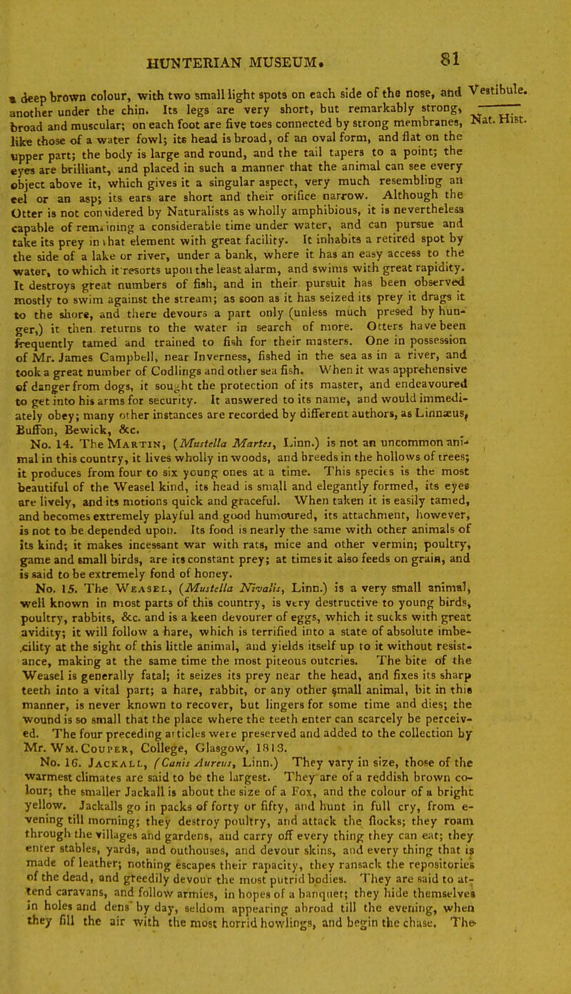 « deep brown colour, with two small light spots on each side of the nose, atid Vestibule, another under the chin. Its legs are very short, but remarkably strong, - — broad and muscular; on each foot are five toes connected by strong membranes, Nat. Hm. like those of a water fowl; its head is broad, of an oval form, and flat on the upper part; the body is large and round, and the tail tapers to a point; the eyes are brilliant, and placed in such a manner that the animal can see every object above it, which gives it a singular aspect, very much resembling an eel or an asp; its ears are short and their orifice narrow. Although the Otter is not conndered by Naturalists as wholly amphibious, it is nevertheless capable ofremiinmga considerable time under water, and can pursue and take its prey in ihat element with great facility. It inhabits a retired spot by the side of a lake or river, under a bank, where it has an easy access to the water, to which it resorts upon the least alarm, and swims with great rapidity. It destroys great numbers of fish, and in their pursuit has been observed mostly to swim against the stream; as soon as it has seized its prey it drags it to the shore, and tiiere devours a part only (unless much presed by hun* ger,) it then, returns to the water in search of more. Otters have been frequently tamed and trained to fish for their masters. One in possession of Mr. James Campbell, near Inverness, fished in the sea as in a river, and took a great number of Codlings and other sea fish. When it was apprehensive of danger from dogs, it sou^^ht the protection of its master, and endeavoured to get into his arms for security. It answered to its name, and would immedi- ately obey; many other instances are recorded by different authors, as LinnseuSj Buffon, Bewick, &c. No. 14. The Martin, {Mustella Martei, Linn.) is not an uncommon anH mal in this country, it lives wholly in woods, and breeds in the hollows of trees; it produces from four to six young ones at a time. This specits is the most beautiful of the Weasel kind, its head is small and elegantly formed, its eyes are lively, and its motions quick and graceful. When taken it is easily tamed, and becomes extremely playful and good humoured, its attachment, liowever, is not to be depended upon. Its food is nearly the same with other animals of its kind; it makes incessant war with rats, mice and other vermin; poultry, game and small birds, are its constant prey; at times it also feeds on grain, and is said to be extremely fond of honey. No. 15. The Weasel, {Mustelta Nivalis, Linn.) is a very small animal, well known in most parts of this country, is vtry destructive to young birds, poultry, rabbits, &c. and is a keen devourer of eggs, which it sucks with great avidity; it will follow a hare, which is terrified into a state of absolute imbe- .cility at the sight of this little animal, and yields itself up to it without resist- ance, making at the same time the most piteous outcries. The bite of the Weasel is generally fatal; it seizes its prey near the head, and fixes its sharp teeth into a vital part; a hare, rabbit, or any other ^mall animal, bit in this manner, is never known to recover, but lingers for some time and dies; the wound is so small that the place where the teeth enter can scarcely be perceiv- ed. The four preceding ai tides were preserved and added to the collection by Mr. Wm.Couper, College, Glasgow, 1813. No. IG. Jackali., (Canis Aureus, Linn.) They vary in size, those of the warmest climates are said to be the largest. They^ are of a reddish brown co- lour; the smaller Jackali is about the size of a Fox, and the colour of a bright yellow. Jackalls go in packs of forty or fifty, and hunt in full cry, from e- vening till morning; they destroy poultry, and attack the flocks; they roam through the villages and gardens, and carry off every thing they can eat; they enter stables, yards, and outhouses, and devour skins, and every thing that is made of leather; nothing escapes their rapacity, they ransack the repositories of the dead, and greedily devour the most putrid bodies. They are said to at- tend caravans, and follow armies, in hopes of a banquet; they hide themselves in holes and dens' by day, seldom appearing abroad till the evening, whea they fill the air with the most horrid bowlings, and begin the chase. The-