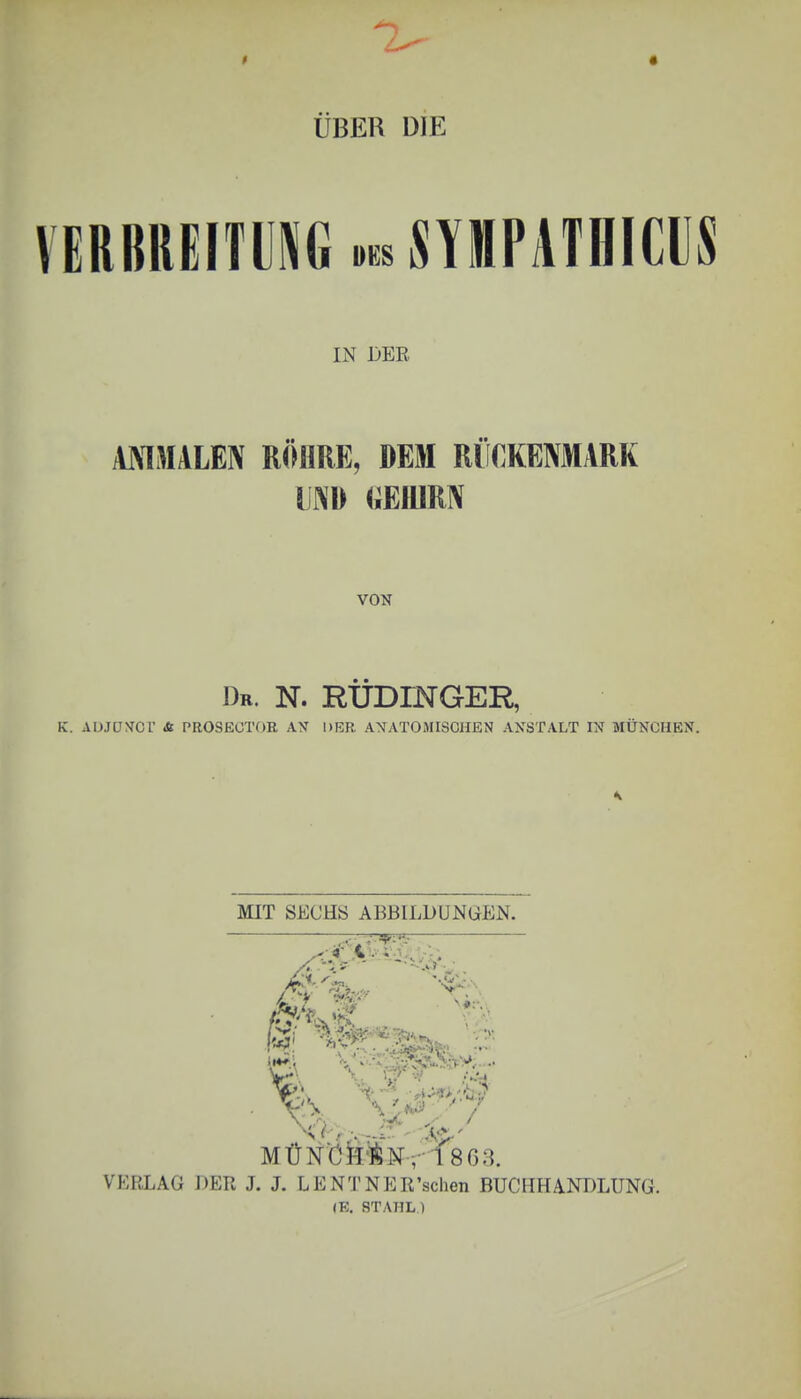 ÜBER DIE VERBREITUNG »es SYMPATHICUS IN DER ANMALEN RÖHRE, DEM RÜCKENMARK UND (iEIllRN VON Dr. N. RÜDrNGER, K. ADJUVCr St PROSECTOR AN 1>ER ANATOMISCHEN ANSTALT IN MÜNCHEN. MIT SECHS ABBILDUNGEN. a Hassan s ><£>;. MÜNÖft'ÜN, 1 863. VERLAß DER J. J. LENTNER'schen BUCHHANDLUNG. IE. STAHL)