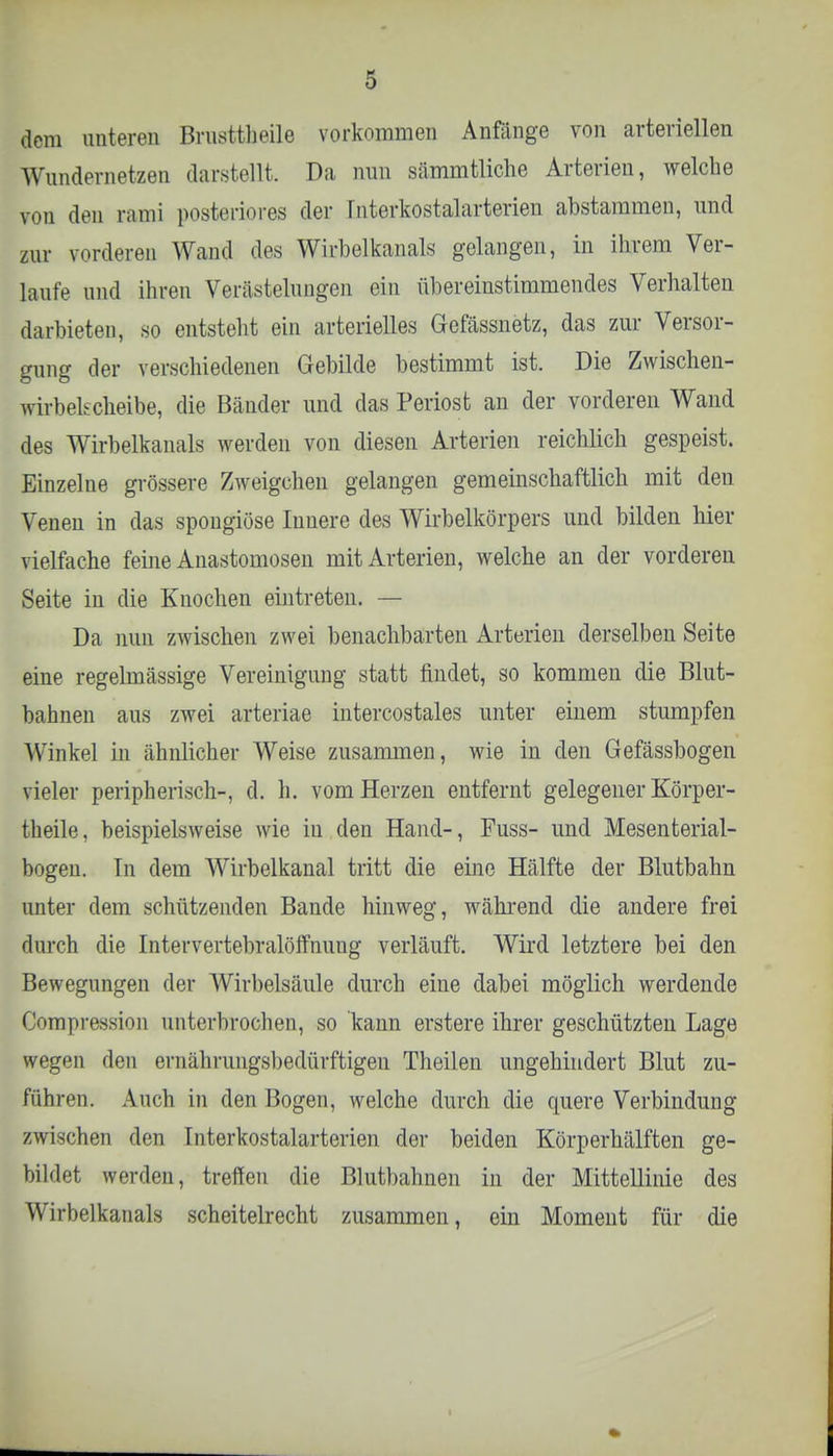 dem unteren Brusttheile vorkommen Anfänge von arteriellen Wundernetzen darstellt. Da nun sämmtliche Arterien, welche von den rami posteriores der Tnterkostalarterien abstammen, und zur vorderen Wand dos Wirbelkanals gelangen, in ihrem Ver- laufe und ihren Verästelungen ein übereinstimmendes Verhalten darbieten, so entsteht ein arterielles Gefässnetz, das zur Versor- gung der verschiedenen Gebilde bestimmt ist. Die Zwischen- wirbekcheibe, die Bänder und das Periost an der vorderen Wand des Wirbelkanals werden von diesen Arterien reichlich gespeist. Einzelne grössere Zweigchen gelangen gemeinschaftlich mit deti Venen in das spongiöse Innere des Wirbelkörpers und bilden hier vielfache feine Anastomosen mit Arterien, welche an der vorderen Seite in die Knochen eintreten. — Da nun zwischen zwei benachbarten Arterien derselben Seite eine regelmässige Vereinigung statt findet, so kommen die Blut- bahnen aus zwei arteriae intercostales unter einem stumpfen Winkel in ähnlicher Weise zusammen, wie in den Gefässbogen vieler peripherisch-, d. h. vom Herzen entfernt gelegener Körper- theile, beispielsweise wie in den Hand-, Fuss- und Mesenterial- bogen. In dem Wirbelkanal tritt die eine Hälfte der Blutbahn unter dem schützenden Bande hinweg, während die andere frei durch die Intervertebralöffnung verläuft. Wird letztere bei den Bewegungen der Wirbelsäule durch eine dabei möglich werdende Compression unterbrochen, so kann erstere ihrer geschützten Lage wegen den ernährungsbedürftigen Theilen ungehindert Blut zu- führen. Auch in den Bogen, welche durch die quere Verbindung zwischen den Interkostalarterien der beiden Körperhälften ge- bildet werden, treffen die Blutbahnen in der Mittellinie des Wirbelkanals scheitelrecht zusammen, ein Moment für die