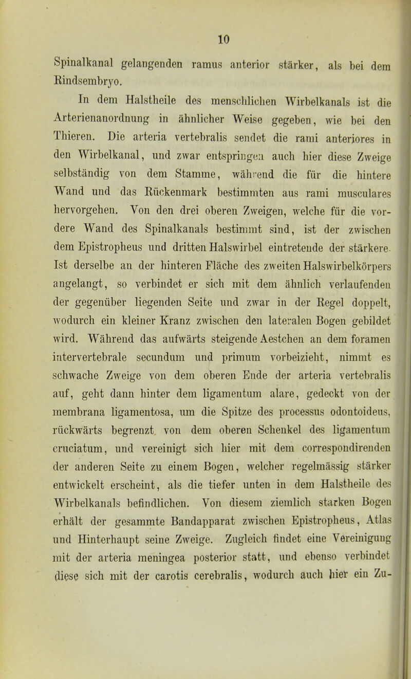 Spinalkanal gelangenden ramus anterior stärker, als bei dem Rindsembryo. In dem Halstheile des menschlichen Wirbelkanals ist die Arterienanordnung in ähnlicher Weise gegeben, wie bei den Thieren. Die arteria vertebralis sendet die rami anteriores in den Wirbelkanal, und zwar entspringen auch hier diese Zweige selbständig von dem Stamme, während die für die hintere Wand und das Rückenmark bestimmten aus rami musculares hervorgehen. Von den drei oberen Zweigen, welche für die vor- dere Wand des Spinalkanals bestimmt sind, ist der zwischen dem Epistropheus und dritten Halswirbel eintretende der stärkere- ist derselbe an der hinteren Fläche des zweiten Halswirbelkörpers angelangt, so verbindet er sich mit dem ähnlich verlaufenden der gegenüber liegenden Seite und zwar in der Regel doppelt, wodurch ein kleiner Kranz zwischen den lateralen Bogen gebildet wird. Während das aufwärts steigende Aestchen an dem foramen intervertebrale secundum und primum vorbeizieht, nimmt es schwache Zweige von dem oberen Ende der arteria vertebralis auf, geht dann hinter dem ligamentum alare, gedeckt von der membrana ligamentosa, um die Spitze des processus odontoideus. rückwärts begrenzt von dem oberen Schenkel des ligamentum cruciatum, und vereinigt sich hier mit dem correspondirenden der anderen Seite zu einem Bogen, welcher regelmässig stärker entwickelt erscheint, als die tiefer unten in dem Halstheile des Wirbelkanals befindlichen. Von diesem ziemlich starken Bogen erhält der gesammte Bandapparat zwischen Epistropheus, Atlas und Hinterhaupt seine Zweige. Zugleich findet eine Vereinigimg mit der arteria meningea posterior statt, und ebenso verbindet diese sich mit der carotis cerebralis, wodurch auch hier ein Zu-