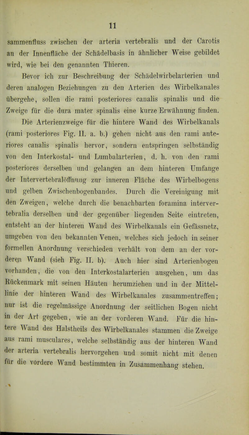 sammenfluss zwischen der arteria vertebralis und der Carotis an der Innenfläche der Schädelbasis in ähnlicher Weise gebildet wird, wie bei den genannten Thieren. Bevor ich zur Beschreibung der Schädelwirbelarterien und deren analogen Beziehungen zu den Arterien des Wirbelkanales übergehe, sollen die rami posteriores caüalis spinalis und die Zweige für die dura mater spinalis eine kurze Erwähuung rinden. Die Arterienzweige für die hintere Wand des Wirbelkanals (rami posteriores Fig. II. a. b.) gehen nicht aus den rami ante- riores canalis spinalis hervor, sondern entspringen selbständig von den Interkostal- und Lumbaiarterien, d. h. von den rami posteriores derselben und gelangen an dem hinteren Umfange der Intervertebralöffnuug zur inneren Fläche des Wirbelbogens und gelben Zwischenbogenbandes. Durch die Vereinigung mit den Zweigen, welche durch die benachbarten foramina interver- tebralia derselben und der gegenüber liegenden Seite eintreten, entsteht an der hinteren Wand des Wirbelkanals ein Gefässnetz, umgeben von den bekannten Venen, welches sich jedoch in seiner formellen Anordnung verschieden verhält von dem an der vor- deren Wand (sieh Fig. II. b). Auch hier sind Arterienbogen vorhanden, die von den Interkostalarterien ausgehen, um das Kückenmark mit seinen Häuten herumziehen und in der Mittel- linie der hinteren Wand des Wirbelkanales zusammentreffen; nur ist die regelmässige Anordnung der seitlichen Bogen nicht in der Art gegeben, wie an der vorderen Wand. Für die hin- tere Wand des Halstheils des Wirbelkanales stammen die Zweige aus rami musculares, welche selbständig aus der hinteren Wrand der arteria vertebralis hervorgehen und somit nicht mit denen für die vordere Wand bestimmten in Zusammenhang stehen.