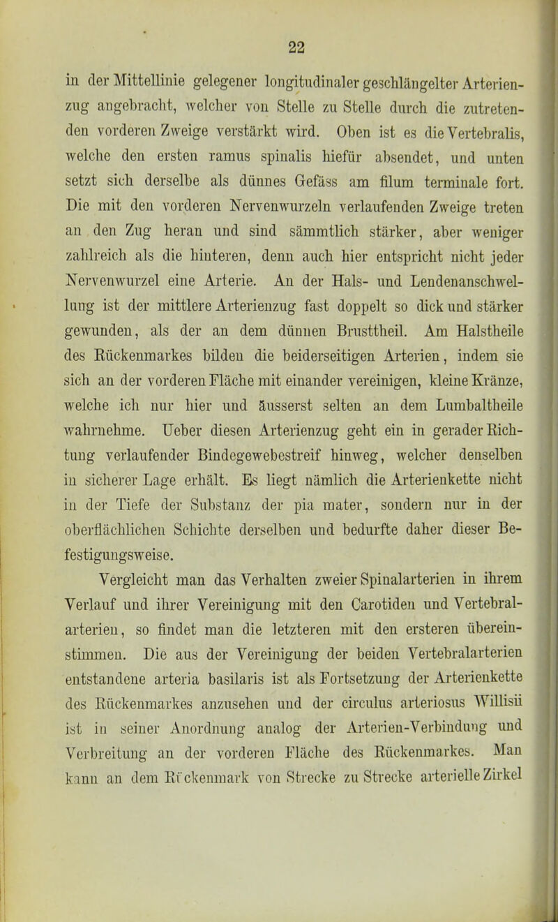 in der Mittellinie gelegener longitndinaler geschlängelter Arterien- zug angebracht, welcher von Stelle zu Stelle durch die zutreten- den vorderen Zweige verstärkt wird. Oben ist es die Vertebralis, welche den ersten ramus spinalis hiefür absendet, und unten setzt sich derselbe als dünnes Gefäss am filum terminale fort. Die mit den vorderen Nervenwurzeln verlaufenden Zweige treten an den Zug heran und sind sämmtlich stärker, aber weniger zahlreich als die hinteren, denn auch hier entspricht nicht jeder Nervenwurzel eine Arterie. An der Hals- und Lendenanschwel- lung ist der mittlere Arterienzug fast doppelt so dick und stärker gewunden, als der an dem dünnen Brusttheil. Am Halstheile des Kückenmarkes bilden die beiderseitigen Arterien, indem sie sich an der vorderen Fläche mit einander vereinigen, kleine Kränze, welche ich nur hier und äusserst selten an dem Lumbaltheile wahrnehme. Ueber diesen Arterienzug geht ein in gerader Rich- tung verlaufender Bindegewebestreif hinweg, welcher denselben in sicherer Lage erhält. Es liegt nämlich die Arterienkette nicht in der Tiefe der Substanz der pia mater, sondern nur in der oberflächlichen Schichte derselben und bedurfte daher dieser Be- festigungsweise. Vergleicht man das Verhalten zweier Spinalarterien in ihrem Verlauf und ihrer Vereinigung mit den Carotiden und Vertebral- arterien, so findet man die letzteren mit den ersteren überein- stimmen. Die aus der Vereinigung der beiden Vertebralarterien entstandene arteria basilaris ist als Fortsetzung der Arterienkette des Rückenmarkes anzusehen und der circulus arteriosus Willisii ist in seiner Anordnung analog der Arterien-Verbindung und Verbreitung an der vorderen Fläche des Rückenmarkes. Man kann an dem Rückenmark von Strecke zu Strecke arterielle Zirkel