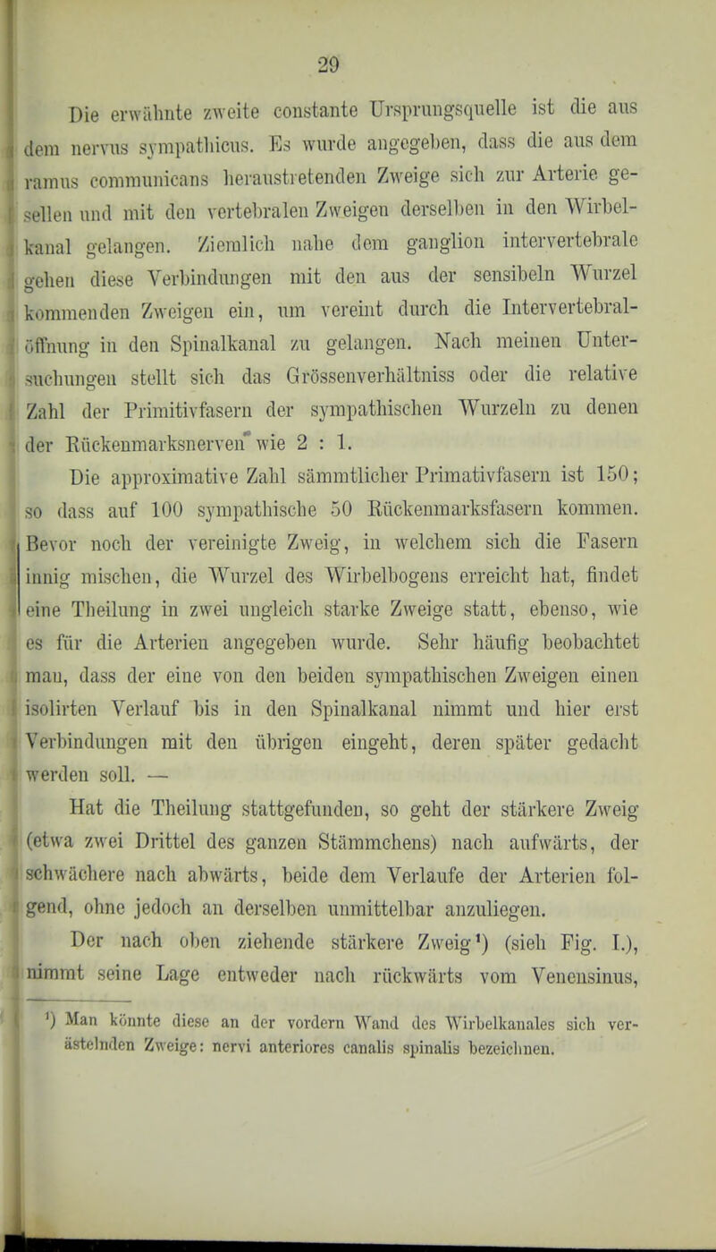 Die erwähnte zweite constante Ursprungsquelle ist die aus j dem nervus sympathicus. Es wurde angegeben, dass die aus dem I ramus communicans heraustretenden Zweige sieh zur Arterie ge- il seilen und mit den vcrtehralen Zweigen derselben in den Wirbel- I kanal gelangen. Ziemlich nahe dem ganglion intcrvertebrale i gehen diese Verbindungen mit den aus der sensibeln Wurzel i kommenden Zweigen ein, um vereint durch die Intervertebral- i Öffnung in den Spinalkanal zu gelangen. Nach meinen Unter- •i sachungen stellt sich das Grössenverhältniss oder die relative Zahl der Primitivfasern der sympathischen Wurzeln zu denen I der Kückenmarksnerven wie 2:1. Die approximative Zahl sämmtlicher Primativfasern ist 150; so dass auf 100 sympathische 50 Kückenmarksfasern kommen, j Bevor noch der vereinigte Zweig, in welchem sich die Fasern . innig mischen, die Wurzel des Wirbelbogens erreicht hat, findet i| eine Theilung in zwei ungleich starke Zweige statt, ebenso, wie \ es für die Arterien angegeben wurde. Sehr häufig beobachtet mau, dass der eine von den beiden sympathischen Zweigen einen isolirten Verlauf bis in den Spinalkanal nimmt und hier erst i Verbindungen mit den übrigen eingeht, deren später gedacht 1 werden soll. — Hat die Theilung stattgefunden, so geht der stärkere Zweig I (etwa zwei Drittel des ganzen Stämmchens) nach aufwärts, der j schwächere nach abwärts, beide dem Verlaufe der Arterien fol- i gend, ohne jedoch an derselben unmittelbar anzuliegen. Der nach oben ziehende stärkere Zweig1) (sieh Fig. I.), I nimmt seine Lage entweder nach rückwärts vom Venensinus, ') Man könnte diese an der vordem Wand des WirLelkanales sich ver- ästelnden Zweige: nervi anteriores canalis spinalis bezeichnen.