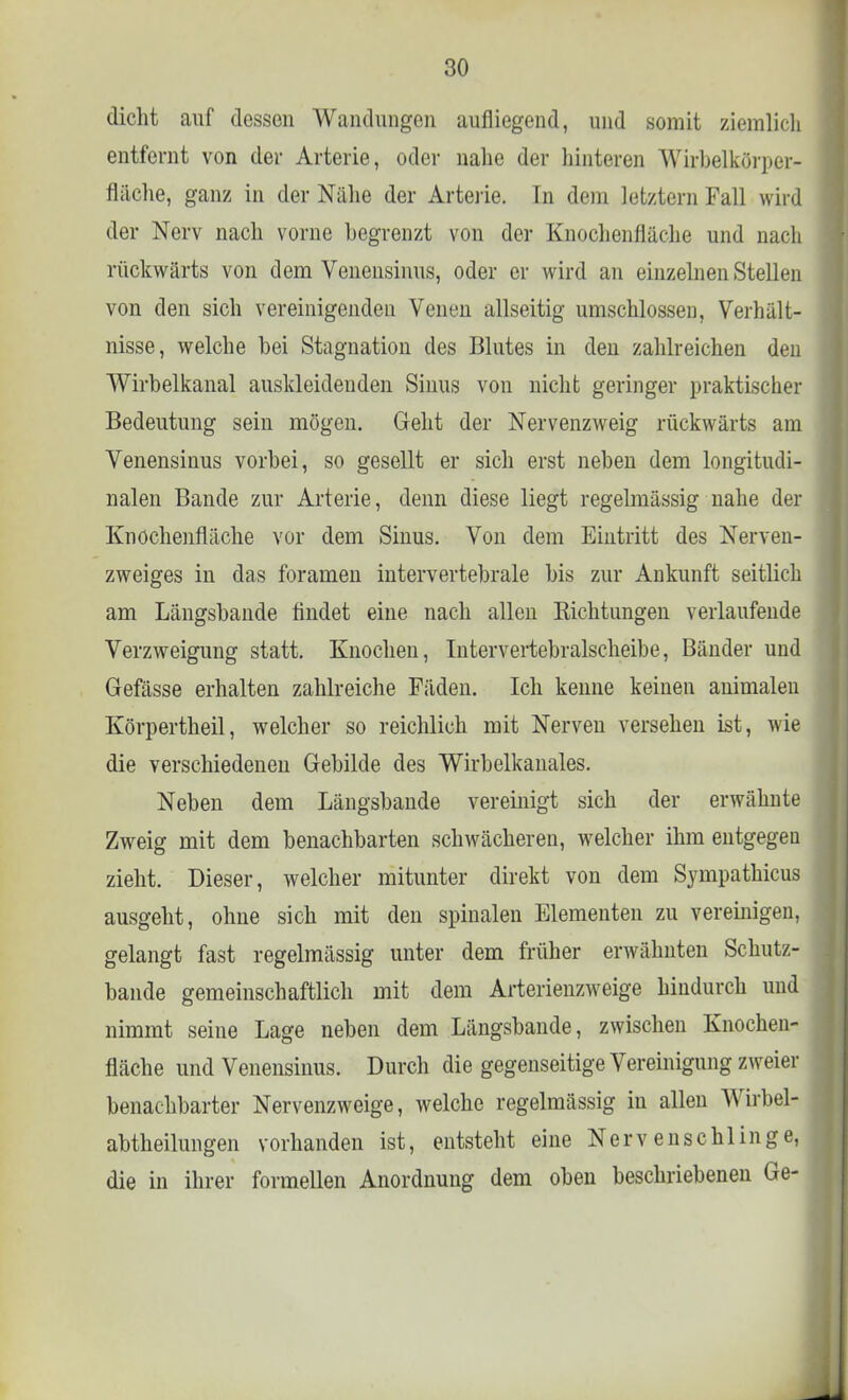 dicht auf dessen Wandungen aufliegend, und somit ziemlich entfernt von der Arterie, oder nahe der hinteren Wirbelkürper- fläche, ganz in der Nähe der Arterie. In dem letztem Fall wird der Nerv nach vorne begrenzt von der Knochenfläche und nach rückwärts von dem Venensinus, oder er wird an einzelnen Stellen von den sich vereinigenden Venen allseitig umschlossen, Verhält- nisse, welche bei Stagnation des Blutes in den zahlreichen den Wirbelkanal auskleidenden Sinus von nicht geringer praktischer Bedeutung sein mögen. Geht der Nervenzweig rückwärts am Venensinus vorbei, so gesellt er sich erst neben dem longitudi- nalen Bande zur Arterie, denn diese liegt regelmässig nahe der Knochenfläche vor dem Sinus. Von dem Eintritt des Nerven- zweiges in das foramen intervertebrale bis zur Ankunft seitlich am Längsbande findet eine nach allen Eichtungen verlaufende Verzweigung statt. Knochen, Intervertebralscheibe, Bänder und Gefässe erhalten zahlreiche Fäden. Ich kenne keinen animalen Körpertheil, welcher so reichlich mit Nerven versehen ist, wie die verschiedenen Gebilde des Wirbelkanales. Neben dem Längsbande vereinigt sich der erwähnte Zweig mit dem benachbarten schwächeren, welcher ihm entgegen zieht. Dieser, welcher mitunter direkt von dem Sympathicus ausgeht, ohne sich mit den spinalen Elementen zu vereinigen, gelangt fast regelmässig unter dem früher erwähnten Schntz- bande gemeinschaftlich mit dem Arterienzweige hindurch und nimmt seine Lage neben dem Längsbande, zwischen Knochen- fläche und Venensinus. Durch die gegenseitige Vereinigung zweier benachbarter Nervenzweige, welche regelmässig in allen Wirbel- abtheilungen vorhanden ist, entsteht eine Nervenschlinge, die in ihrer formellen Anordnung dem oben beschriebenen Ge-