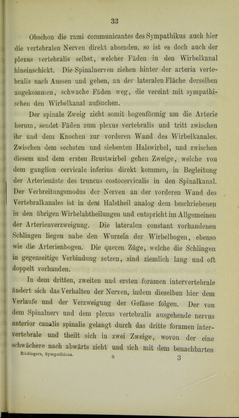 Obschon die rami communicantes des Sympathikus auch hier die vertebralen Nerven direkt absenden, so ist es doch auch der plexus vertebralis selbst, welclier Fiiden in den Wirbelkanal liineinschickt. Die Spinalnerven ziehen hinter der arteria verte- bralis na. it Aussen und geben, an der lateralen Fläche derselben angekommen, schwache Fäden weg, die vereint mit sympathi- schen den Wirbelkanal aufsuchen. Der spinale Zweig zieht somit bogenförmig um die Arterie herum, sendet Fäden zum plexus vertebralis und tritt zwischen ihr und dem Knochen zur vorderen Wand des Wirbelkanales. Zwischen dem sechsten und siebenten Halswirbel, und zwischen diesem und dem ersten Brustwirbel gehen Zweige, welche von dem ganglion cervicale inferius direkt kommen, in Begleitung der Arterienäste des truncus costocervicalis in den Spinalkanal. Der Verbreitungsmodus der Nerven an der vorderen Wand des Vertebralkanales ist in dem Halstheil analog dem beschriebenen in den übrigen Wirbelabtheiluugen und entspricht im Allgemeinen der Arterienverzweiguug. Die lateralen constant vorhandenen Schlingen liegen nahe den Wurzeln der Wirbelbogen, ebenso wie die Arterienbogen. Die queren Züge, welche die Schlinge in gegenseitige Verbindung setzen, sind ziemlich lang und oft doppelt vorhanden. In dem dritten, zweiten und ersten foramen intervertebrale ändert sich das Verhalten der Nerven, indem dieselben hier dem Verlaufe und der Verzweigung der Gefässe folgen. Der von dem Spinalnerv und dem plexus vertebralis ausgehende nervus anterior canalis spinalis gelangt durch das dritte foramen inter- vertebrale und theilt sich in zwei Zweige, wovon der eine schwächere nach abwärts zieht und sich mit dem benachbarten Rudingers, Syrapathicu».
