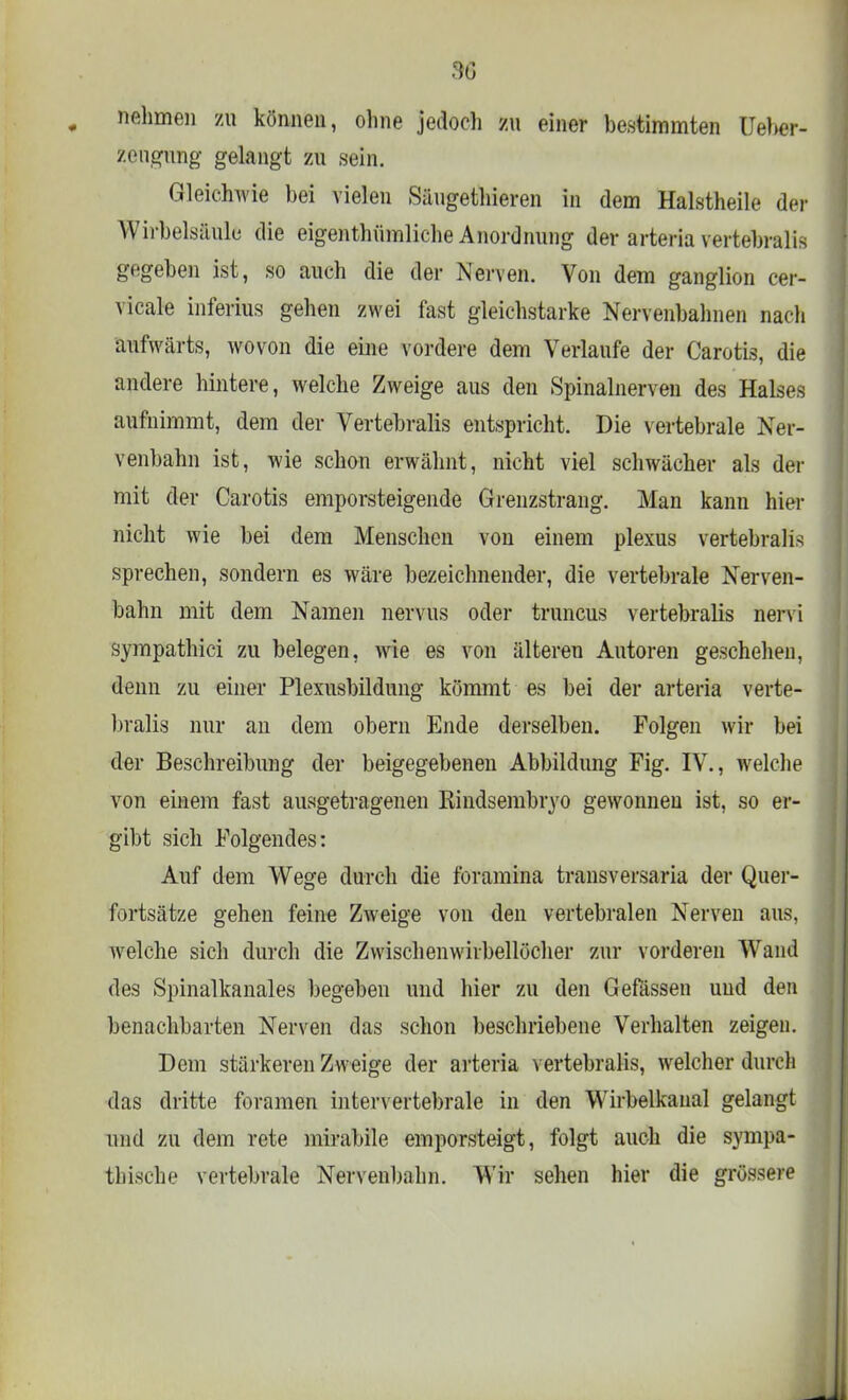 30 nehmen zu können, ohne jedoch zu einer bestimmten Über- zeugung gelangt zu sein. Gleichwie bei vielen Säugethieren in dem HaLstheile der Wirbelsäule die eigenthümliche Anordnung der arteria vertebruli> gegeben ist, so auch die der Nerven. Von dem ganglion cer- vicale inferius gehen zwei fast gleichstarke Nervenbahnen nach aufwärts, wovon die eine vordere dem Verlaufe der Carotis, die andere hintere, welche Zweige aus den Spinalnerven des Halses aufnimmt, dem der Vertebralis entspricht. Die vertebrale Ner- venbahn ist, wie schon erwähnt, nicht viel schwächer als der mit der Carotis emporsteigende Grenzstrang. Man kann hier nicht wie bei dem Menschen von einem plexus vertebralis sprechen, sondern es wäre bezeichnender, die vertebrale Nerven- bahn mit dem Namen nervus oder truneus vertebralis nervi sympathici zu belegen, wie es von älteren Autoren geschehen, denn zu einer Plexusbildung kömmt es bei der arteria verte- bralis nur an dem obern Ende derselben. Folgen wir bei der Beschreibung der beigegebenen Abbildung Fig. IV., welche von einem fast ausgetragenen Kindsembryo gewonnen ist, so er- gibt sich Folgendes: Auf dem Wege durch die foramina transversaria der Quer- fortsätze gehen feine Zweige von den vertebralen Nerven aus, welche sich durch die Zwischenwirbellöcher zur vorderen Wand des Spinalkanales begeben und hier zu den Gefässen und den benachbarten Nerven das schon beschriebene Verhalten zeigen. Dem stärkeren Zweige der arteria vertebralis, welcher durch das dritte foramen intervertebrale in den Wirbelkaual gelangt und zu dem rete mirabile emporsteigt, folgt auch die sympa- thische vertebrale Nervenbahn. Wir sehen hier die grössere