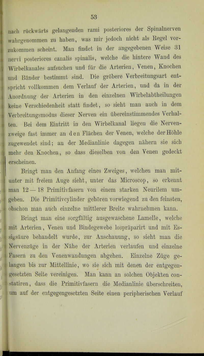nach rückwärts gelangenden rarai posteriores der Spinalnerven wahrgenommen zu haben, was mir jedocli nicht als Kegel vor- zukommen scheint. Man findet in der angegebenen Weise 31 nervi posteriores canalis spinalis, welche die hintere Wand des Wirbelkanales aufsuchen und für die Arterien, Venen, Knochen und Bänder bestimmt sind. Die gröbere Verbreitungsart ent- spricht vollkommen dem Verlauf der Arterien, und da in der Anordnung der Arterien in den einzelnen Wirbelabtheilungen keine Verschiedenheit statt findet, so sieht man auch in dem Verbreitungsmodus dieser Nerven ein übereinstimmendes Verhal- ten. Bei dem Eintritt in den Wirbelkanal liegen die Nerven- zweige fast immer an den Flächen der Venen, welche der Höhle zugewendet sind; an der Medianlinie dagegen nähern sie sich mehr den Knochen, so dass dieselben von den Venen gedeckt erscheinen. Bringt man deii Anfang eines Zweiges, welchen man mit- unter mit freiem Auge sieht, unter das Microscop, so erkennt man 12 — 18 Primitivfasern von einem starken Neurilem um- geben. Die Primitivcylinder gehören vorwiegend zu den feinsten, obschon man auch einzelne mittlerer Breite wahrnehmen kann. Bringt man eine sorgfältig ausgewaschene Lamelle, welche mit Arterien, Venen und Bindegewebe lospräparirt und mit Es- sigsäure behandelt wurde, zur Anschauung, so sieht man die Nervenzüge in der Nähe der Arterien verlaufen und einzelne Pasern zu den Venenwandungen abgehen. Einzelne Züge ge- langen bis zur Mittellinie, wo sie sich mit denen der entgegen- gesetzten Seite vereinigen. Man kann an solchen Objekten con- »tatiren, dass die Primitivfasern die Medianlinie überschreiten, um auf der entgegengesetzten Seite einen peripherischen Verlauf