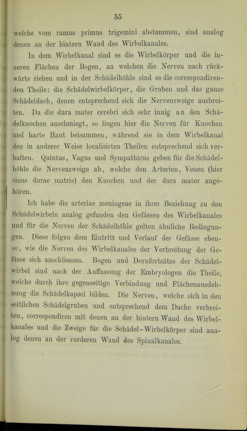 welche vom ramus primus trigemini abstammen, sind analog denen an der hintern Wand des Wirbelkanales. In dem Wirbelkanal sind es die Wirbelkörper und die in- neren Flächen der Bogen, an welchen die Nerven nach rück- wärts ziehen und in der Schädelhöhle sind es die correspondiren- den Thuile: die Schädelwirbelkörper, die Gruben und das ganze Schädeldach, denen entsprechend sich die Nervenzweige ausbrei- ten. Da die dura mater cerebri sich sehr innig an den Schä- delknochen anschmiegt, so liegen hier die Nerven für Knochen und harte Haut beisammen, während sie in dem Wirbelkanal den in anderer Weise localisirten Theilen entsprechend sich ver- halten. Quintus, Vagus und Sympathicus geben für die Schädel- höhle die Nervenzweige ab, welche den Arterien, Venen (hier sinus durae matris) den Knochen und der dura mater ange- hören. Ich habe die arteriae meniugeae in ihrer Beziehung zu den Schädelwirbeln analog gefunden den Gefässen des Wirbelkanales und für die Nerven der Schädelhöhle gelten ähnliche Bedingun- gen. Diese folgen dem Eintritt und Verlauf der Gefässe eben- p, wie die Nerven des Wirbelkanales der Verbreitung der Ge- lasse sich anschHessen. Bogen und Dornfortsätze der Schädel- wirbel sind nach der Auffassung der Embryologen die Theile, welche durch ihre gegenseitige Verbindung und Flächenausdeh- nung die Schädelkapsel bilden. Die Nerven, welche sich in den seitlichen Schädelgruben und entsprechend dem Dache verbrei- ten , correspondiren mit denen an der hintern Wand des Wirbel- kanales und die Zweige für die Schädel - Wirbelkörper sind ana- log denen an der vorderen Wand des Spinalkanales.