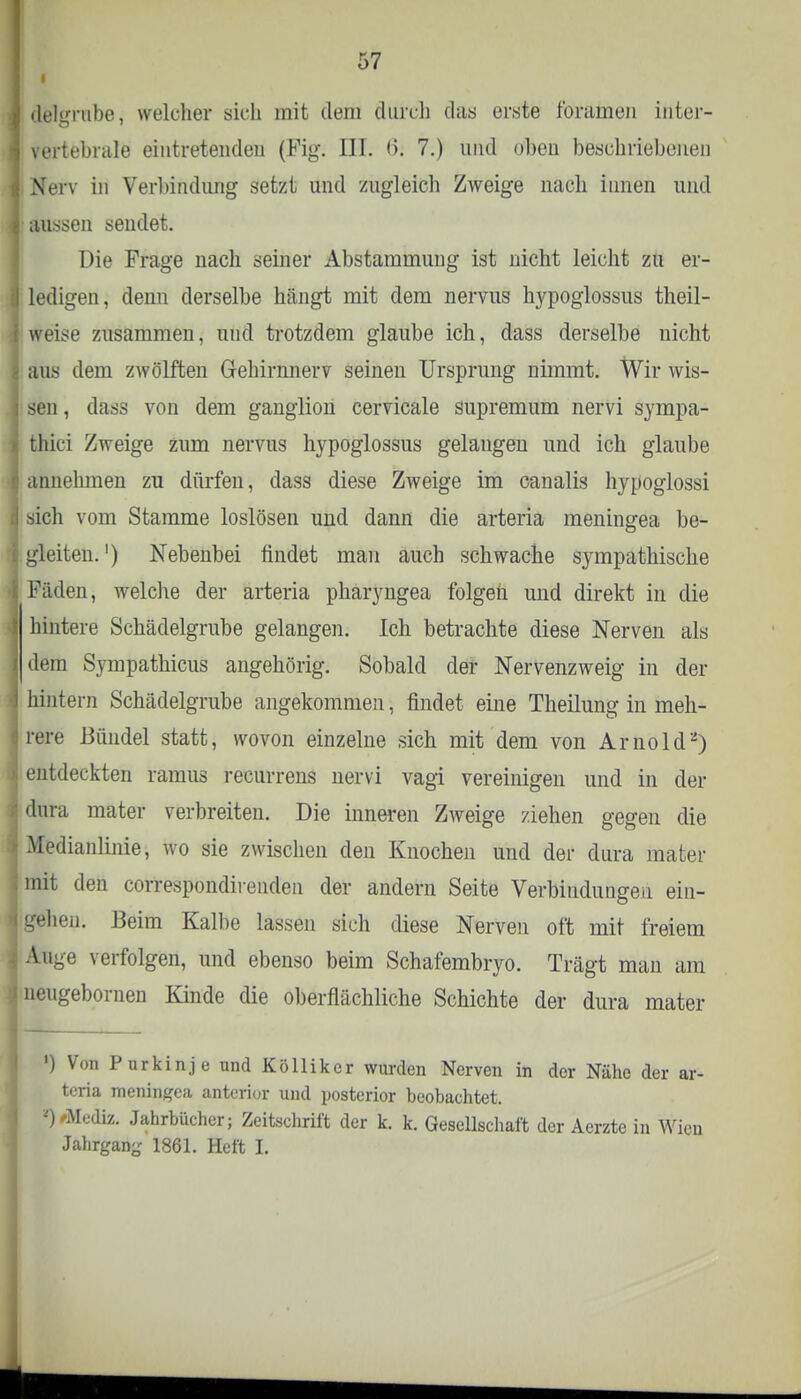 l delgrube, welcher sich mit dem durch das erste foramen inter- vertebrale eintretenden (Fig. III. <>. 7.) und oben beschriebenen Nerv in Verbindung setzt und zugleich Zweige nach innen und i aussen sendet. Die Frage nach seiner Abstammung ist nicht leicht zu er- i ledigen, denn derselbe hängt mit dem nervus hypoglossus theil- wt'ise zusammen, und trotzdem glaube ich, dass derselbe nicht aus dem zwölften Gehirnnerv seinen Ursprung nimmt. Wir wis- j sen, dass von dem ganglion cervicale supremum nervi sympa- i| thici Zweige zum nervus hypoglossus gelangen und ich glaube I annehmen zu dürfen, dass diese Zweige im canalis hypoglossi tj sich vom Stamme loslösen und dann die arteria meningea be- s gleiten.') Nebenbei findet man auch schwache sympathische Fiiden, welche der arteria pharyngea folgen und direkt in die t. hintere Schädelgrube gelangen. Ich betrachte diese Nerven als 1 dem Sympathicus angehörig. Sobald der Nervenzweig in der 1 hintern Schädelgrube angekommen, findet eine Theilung in meh- rere Bündel statt, wovon einzelne sich mit dem von Arnold2) I entdeckten ramus recurrens nervi vagi vereinigen und in der ■ dura mater verbreiten. Die inneren Zweige ziehen gegen die i Medianlinie, wo sie zwischen den Knochen und der dura mater jmit den correspondirenden der andern Seite Verbindungen ein- i gehen. Beim Kalbe lassen sich diese Nerven oft mit freiem i Auge verfolgen, und ebenso beim Schafembryo. Trägt man am j neugebornen Kinde die oberflächliche Schichte der dura mater ') Von Purkinje und Kölliker wurden Nerven in der Nähe der ar- teria meningea anterior und posterior beobachtet. VMediz. Jahrbücher; Zeitschrift der k. k. Gesellschaft der Aerzte in Wien Jahrgang 1861. Heft I.
