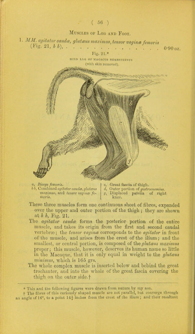 digitised image 2