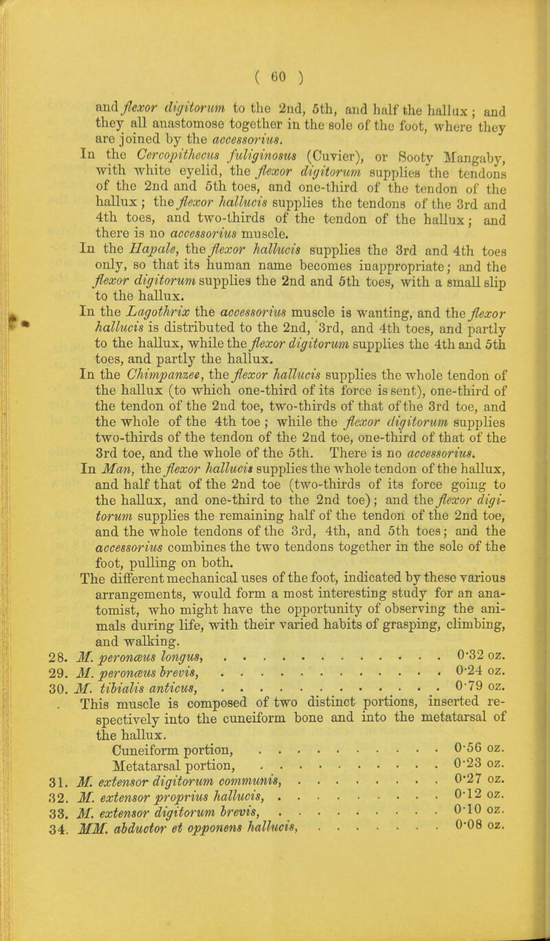 Rudjlexor dujitorum to the 2nd, 6th, and half the hallux ; and they all anastomose together in the sole of the foot, where they are joined by the aooessortus. In the Cercopithecus fuUginosm (Cuvier), or Sooty llangaby, with white eyelid, the flexor diyitorum supplies the tendons of the 2nd and 5th toes, and one-third of the tendon of the hallux ; the flexor hallucis supplies the tendons of the 3rd and 4th toes, and two-thirds of the tendon of the hallux; and there is no accessorius muscle. In the Hapale, the flexor hallucis supplies the 3rd and 4th toes only, so that its human name becomes inappropriate; and the flexor digitorum supplies the 2nd and 5th toes, with a small slip to the hallux. In the Lagotlirix the accessorius muscle is wanting, and the flexor hallucis is distributed to the 2nd, 3rd, and 4th toes, and partly to the hallux, while the flexor digitorum supplies the 4th and 5th toes, and partly the hallux. In the Chimpanzee, the flexor hallucis supplies the whole tendon of the hallux (to which one-third of its force is sent), one-third of the tendon of the 2nd toe, two-thirds of that of the 3rd toe, and the whole of the 4th toe ; while the flexor digitorum supplies two-thirds of the tendon of the 2nd toe, one-third of that of the 3rd toe, and the whole of the 5th. There is no accessorius. In Man, the flexor hallucis supplies the whole tendon of the hallux, and half that of the 2nd toe (two-thirds of its force going to the hallux, and one-third to the 2nd toe); and the flexor digi- torum supplies the remaining half of the tendon of the 2nd toe, and the whole tendons of the 3rd, 4th, and 5th toes; and the accessorius combines the two tendons together in the sole of the foot, pulling on both. The different mechanical uses of the foot, indicated by these various arrangements, would form a most interesting study for an ana- tomist, who might have the opportunity of observing the ani- mals during life, with their varied habits of grasping, climbing, and walking. 28. M. peronceus longus, 0*32 oz. 29. M. peronceus hrevis, 0-24 oz. 30. M. tibialis anticus, • • . • ^'^^ This muscle is composed of two distinct portions, inserted re- spectively into the cuneiform bone and into the metatarsal of the hallux. Cuneiform portion, 0-56 oz. Metatarsal portion, 0-23 oz. 31. M. extensor digitorum communis, 0*27 oz. 32. M. extensor propj-ius hallucis, 0-12 oz. 33. M. extensor digitorum hrevis, 010 oz. 34. MM. abductor et opponens hallucis, 0-08 oz.