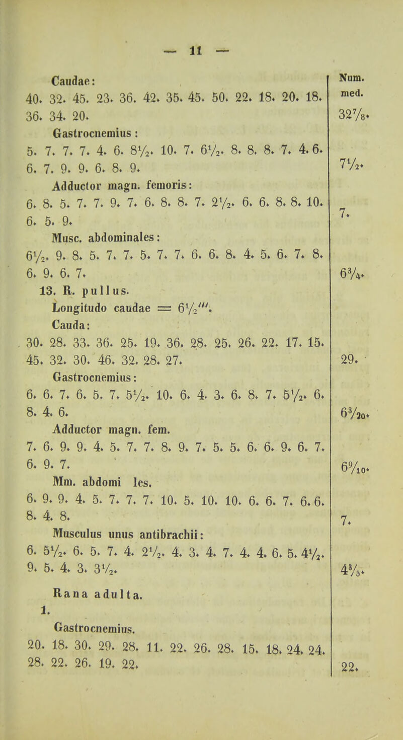 Caudae: 40. 32. 45. 23. 36. 42. 35. 45. 50. 22. 18. 20. 18. 36. 34. 20. Gastrocneniius : 5. 7. 7. 7. 4. 6. 8%. 10. 7. 6V2. 8. 8. 8. 7. 4. 6. 6. 7. 9. 9. 6. 8. 9. Adductor magn. femoris: 6. 8. 5. 7. 7. 9. 7. 6. 8. 8. 7. 2%. 6. 6. 8. 8. 10. 6. 5. 9. Musc. abdominales: 6%. 9. 8. 5. 7. 7. 5. 7. 7. 6. 6. 8. 4. 5. 6. 7. 8. 6. 9. 6. 7. 13. R. pu 11 us. Longitudo caudae = 61//. Cauda: 30. 28. 33. 36. 25. 19. 36. 28. 25. 26. 22. 17. 15. 45. 32. 30. 46. 32. 28. 27. Gastrocnemius: 6. 6. 7. 6. 5. 7. 5%. 10. 6. 4. 3. 6. 8. 7. 5%. 6. 8. 4. 6. Adductor magn. fem. 7. 6. 9. 9. 4. 5. 7. 7. 8. 9. 7. 5. 5. 6. 6. 9. 6. 7. 6. 9. 7. Mm. abdomi les. 6. 9. 9. 4. 5. 7. 7. 7. 10. 5. 10. 10. 6. 6. 7. 6. 6. 8. 4. 8. Musculus unus antibrachii: 6. 5%. 6. 5. 7. 4. 2V2. 4. 3. 4. 7. 4. 4. 6. 5. 4%. 9. 5. 4. 3. 3V2. Rana adulta. 1. Gastrocnemius. 20. 18. 30. 29. 28. 11. 22. 26. 28. 15. 18. 24. 24. 28. 22. 26. 19. 22. Num. med. 32%. 7l/ 2* 7. 63A- 29. 63/30. 6%0. 7. 4»/5. 22.