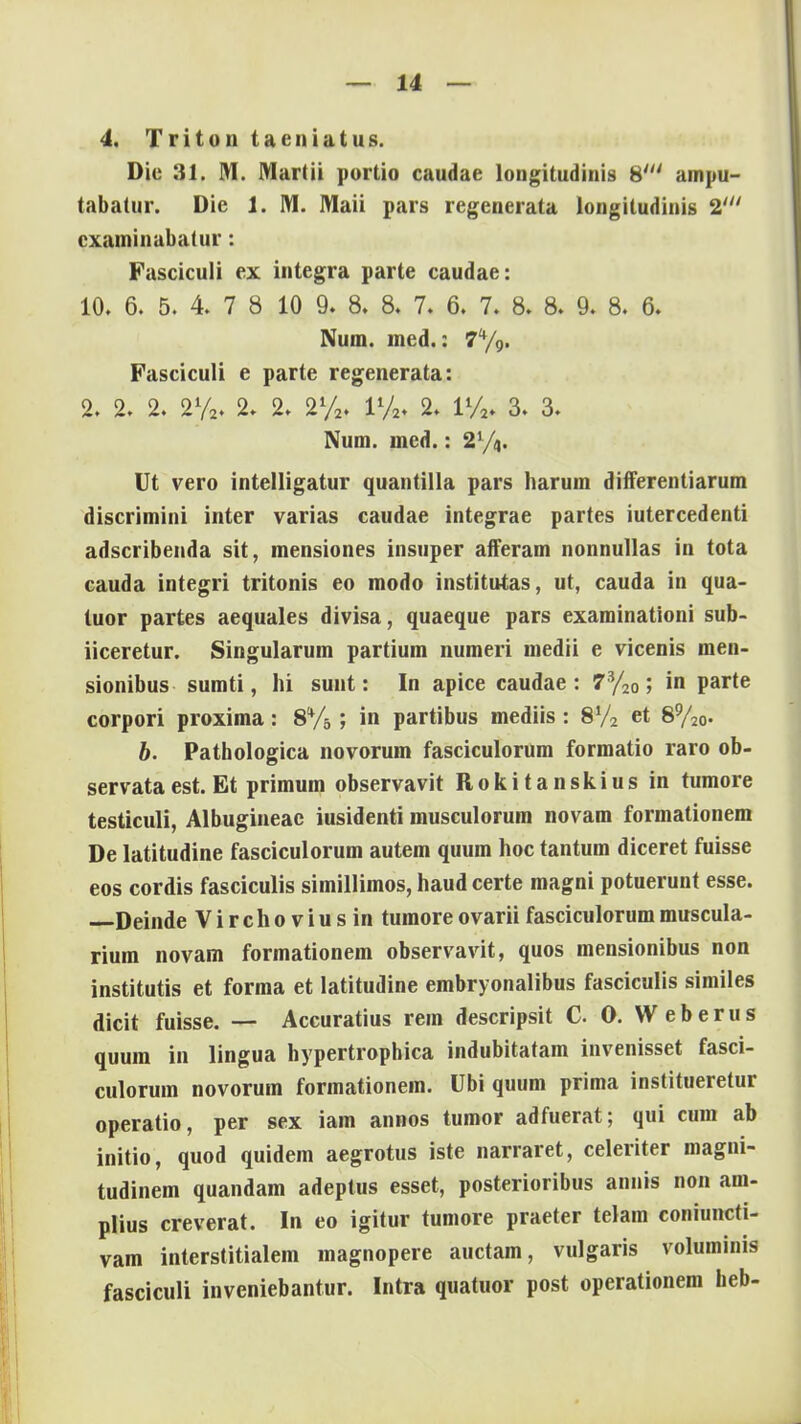 4. Triton taeniatus. Die 31. M. Marlii portio caudae longitudinis 8' ampu- tabatur. Die 1. M. Maii pars regenerata longitudinis 2' cxaminabatur: Fasciculi ex integra parte caudae: 10. 6. 5. 4. 7 8 10 9. 8. 8. 7. 6. 7. 8. 8. 9. 8. 6. Num. med.: 7%. Fasciculi e parte regenerata: 2. 2. 2. 2%. 2. 2. 2%. 1%. 2» 1%. 3. 3- Num. med.: 21/). Ut vero intelligatur quantilla pars harum differentiarum discrimini inter varias caudae integrae partes iutercedenti adscribenda sit, mensiones insuper afferam nonnullas in tota cauda integri tritonis eo modo institutas, ut, cauda in qua- tuor partes aequales divisa, quaeque pars examinationi sub- iiceretur. Singularum partium numeri medii e vicenis men- sionibus sumti, hi sunt: In apice caudae : 7%0; in parte corpori proxima: 8% ; in partibus mediis : 8V2 et 8%0. b. Pathologica novorum fasciculorum formatio raro ob- servataest. Et primum observavit Rokitanskius in tumore testiculi, Albugineac iusidenti musculorum novam formationem De latitudine fasciculorum autem quum hoc tantum diceret fuisse eos cordis fasciculis simillimos, haud certe magni potuerunt esse. Deinde Virchoviusin tumoreovariifasciculorummuscula- rium novam formationem observavit, quos mensionibus non institutis et forma et latitudine embryonalibus fasciculis similes dicit fuisse. — Accuratius rem descripsit C 0. Weberus quum in lingua hypertropbica indubitatam invenisset fasci- culorum novorum formationem. Ubi quum prima institueretur operatio, per sex iam annos tumor adfuerat; qui cum ab initio, quod quidem aegrotus iste narraret, celeriter magni- tudinem quandam adeptus esset, posterioribus annis non am- plius creverat. In eo igitur tumore praeter telam coniuncti- vam interstitialem magnopere auctam, vulgaris voluminis fasciculi inveniebantur. Intra quatuor post operationem beb-