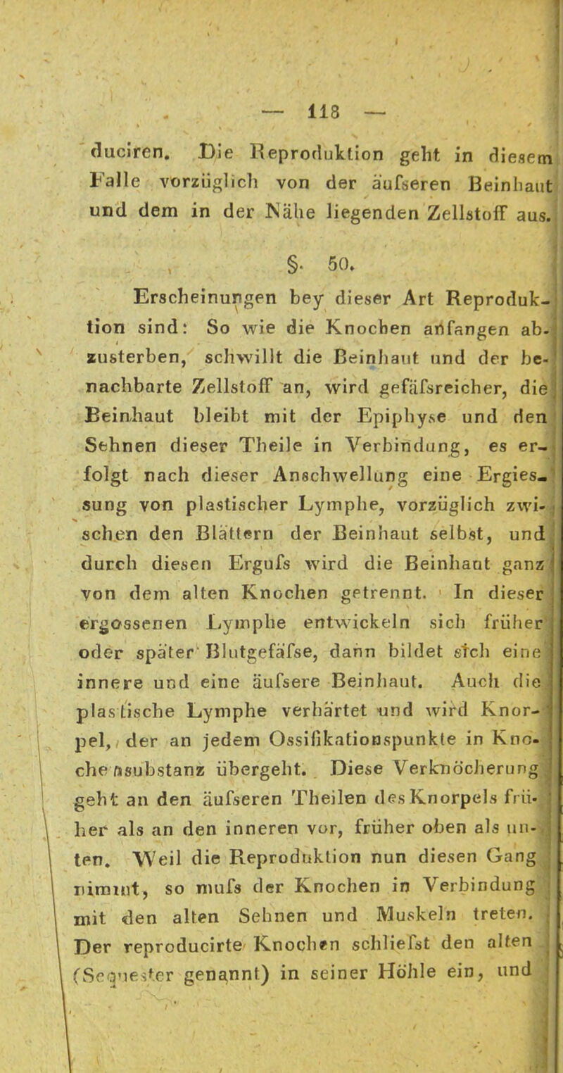 duciren. Die Reproduktion geht in diesem Falle vorzüglich von der äufseren Beinliaut und dem in der Nähe liegenden Zellstoff aus. §. 50. Erscheinungen bey dieser Art Reproduk tion sind: So wie die Knochen artfangen ab zusterben, schwillt die Beinhant und der be rachbarte Zellstoff an, wird gefäfsreicher, die Eein-haut bleibt mit der Epiphyse und den Sehnen dieser Theile in Verbindung, es er- folgt nach dieser Anschwellung eine Ergies« .sung von plastischer Lymphe, vorzüglich zwi- schen den Blättern der Beinhaut seibist, und durch diesen Ergufs wird die Beinhant ganz von dem alten Knochen getrennt. ' In dieser ergossenen Lymphe entwickeln sich früher oder später Blutgefäifse, dann bildet steh eine innere und eine äufsere Beinhaut. Auch die plas tische Lymphe verhärtet und wii^d Knor- pel,/der an jedem Ossifikationspunkte in Kno- che ftsubstanzs übergeht. Diese Verknöcherung geht an den äufseren Theilen des Knorpels frü- her als an den inneren vor, früher oben als un- ten. Weil die Reproduktion nun diesen Gang iiiraint, so mufs der Knochen in Verbindung mit den alten Sehnen und Muskeln treten. Der reproducirte Knochen schliefst den alten (Se^^nester gena,nnt) in seiner Höhle ein, und 4