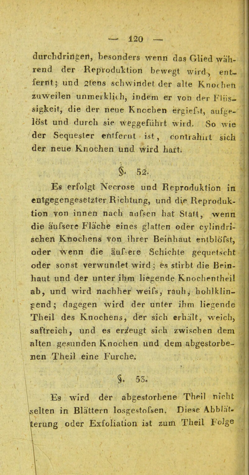 durdidririgen, besonders wenn das Glied wäh- rend der ReproduTction bewegt wird, ent- ferrtt; und 2tens schwindet der alte Knothen zuweilen unmerklith, indem er von der Flüs- sigkeit, die der neue Knochen erg,ief,t, au%p- löst und durch sie weggeführt wird. So wie der Sequester efifferut ist, contrahat sich der neue Knochen tind Wird hart. i 52. Es erfolgt Necrose und Reproduktion in entgegengesetzter Richtung, und die Reproduk- tion von innen nach anfsen hat Statt, wenn die äufsere Flächie eines glatten oder cylindri- schen Knochens Vön ihrer Beinhäut entblöTst, oder wenn die auf ere Schichte gequetscht oder sonst verwundet wird; es stirbt die Bein- haut und der unter ihm liegende Knochentheil ab, und wird nachher weifs, rauh, hohlklin- jiend; dagegen wird der unter ihm liegende Theil des Knochens, der sich erhalt, weich, saftreich, und es erzeugt sich zwischen dem alten gesunden Knochen und dem abgestorbe- nen Theil eine Furche, §♦ 55. Es wird der abgestorbene Theil nicht Igelten in Blättern losgestofsen. Diese Abblät- terung oder Exfoliation ist zum Theil Folge