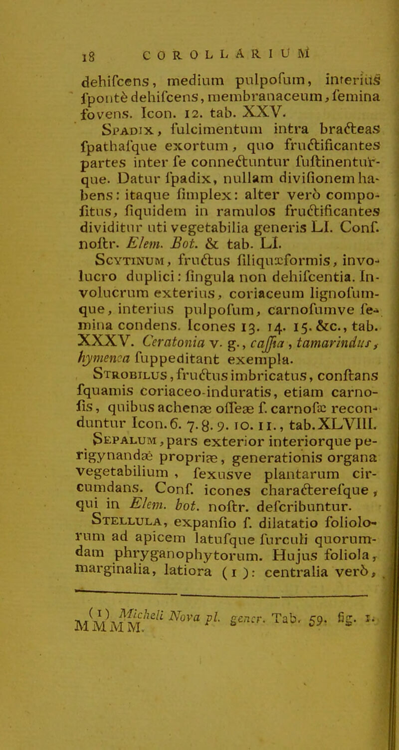 dehifcens, medium pulpofum, inferius fpoiit^ dehifcens, membranaceum, femina fovens. Icon. 12. tab. XXV. Spadix, fulcimentum intra brafteas fpathafque exortum, quo fruftificantes partes inter fe conneftuntur fuftinentur- que. Datur fpadix, nullam divifionemha- bens: itaque fimplex: alter vero compo- fitns, fiquidem in ramulos fruftificantes dividitnr uti vegetabiiia generis LI. Conf. noftr. Ehm. Bot. & tab. LI. ScYTiNUM, fruftus fihquxformis, invo- lucro duplici: fingula non dehifcentia. In- volucrum exterius, coriaceum hgnofum- que, interius pulpofum, carnofumve fe^ mina condens. Icones 13. 14. 15. &c.,tab. XXXV. Ceratonia v- g-, cajjia , tamarhidiis, hymenca fuppeditant exempla. Strobilus , fruftus imbricatus, conftans fquamis coriaceo-induratis, etiam carno- fis, quibus achenae offeag f. carnofa: recon- duntur Icon.6. 7.8-9- 10.11., tab.XLVllI. 3epalum , pars exterior interiorque pe- rigynandae propri?e, generationis organa vegetabilium , fexusve plantarum cir- Gumdans. Conf. icones charafterefque, qui in Elem. bot. noftr. defcribuntur. Stellula, expanfio f. dilatatio foliolo- rum ad apicem latufque furcuh quorum- dam phryganophytorum. Hujus foliola, marginaha, latiora (i ): centralia ver6. M My ^L^'^' ^''''^ '^'^- ^^' ^*'