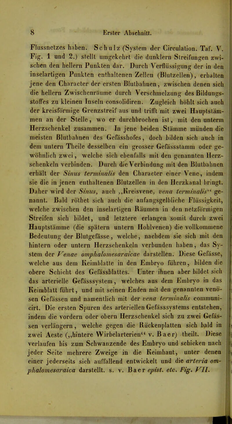 Flussnelzes haben. Schulz (Syslem der Circulalion. Taf. V. Fig. 1 und 2.) sielll umgekehrt die dunklern Sireifungen zwi- schen den hellem Punkten dar. Durch Verflüssigung der in den inselarligen Punkten enthaltenen Zellen (Blulzellen), erhalten jene den Character der ersten Blulbahnen, zwischen denen sich die hellern Zwischenriiume durch Verschmelzung des ßildunsrs- Stoffes zu kleinen Inseln consolidiren. Zugleich höhlt sich auch der kreisförmige Grenzslreif aus und trifft mit zwei Hauptsläm- men an der Stelle, wo er durchbrochen ist, mit den unterm Herzschenkel zusammen. In jene beiden Stämme münden die meisten Blulbahnen des Gerässhofes, doch bilden sich auch in dem untern Tlieile desselben ein grosser Gefässslamm oder ge- wöhnlich zwei, welche sich ebenfalls mit den genannten Herz- schenkcln verbinden. Durch die Verbindung mit den Blulbahnen erhält der Si/ius termiiinlis den Character einer Vene, indem sie die in jenen culhallencn Blulzellen in den Herzkanal bringt. ,| Daher wird der Sinns, auch ,,Itreisvene, vena terimnalis''^ ge- nannt. Bald rölhet sich auch die anfangsgelblic-he Flüssigkeit, welche zwischen den inselarligen Räumen in den netzförmigen Streifen sich bildet, und letztere erlangen somit durch zwei Hauplstämme (die spätem untern Hohlvenen) die vollkommene Bedeutung der Blutgefässe, welche, nachdem sie sich mit den hintern oder untern Herzschenkeln verbunden haben, das Sy- stem der Venae omphalomcsaraicae darstellen. Diese Gefässe, welche aus dem Keimblatle in den Embryo führen, bilden die obere Schicht des Gerässblattes. Unter ihnen aber bildet sich das arterielle Gerässsyslem, welches aus dem Embryo in das | Keimblatt führt, und mit seinen Enden mit den genannten venö- i sen Gefässen und namentlich mit der vena tei^minalis communi- cirl. Die ersten Spuren des arteriellen Gefässsyslems entstehen, indem die vordem oder obern Herzschenkel sich zu zwei Gefäs- sen verlängern, welche gegen die Rückenplatten sich bald in zwei Aeste („hintere Wirbelarterien v. Baer) iheilt. Diese verlaufen bis zum Schwanzende des Embryo und schicken nach jeder Seite mehrere Zweige in die Keimhaut, unter denen einer jederseits sich auffallend entwickelt und die arteria om- phalomesaraica darstellt, s. v. Baerepwf. etc. Ftff. f^II.