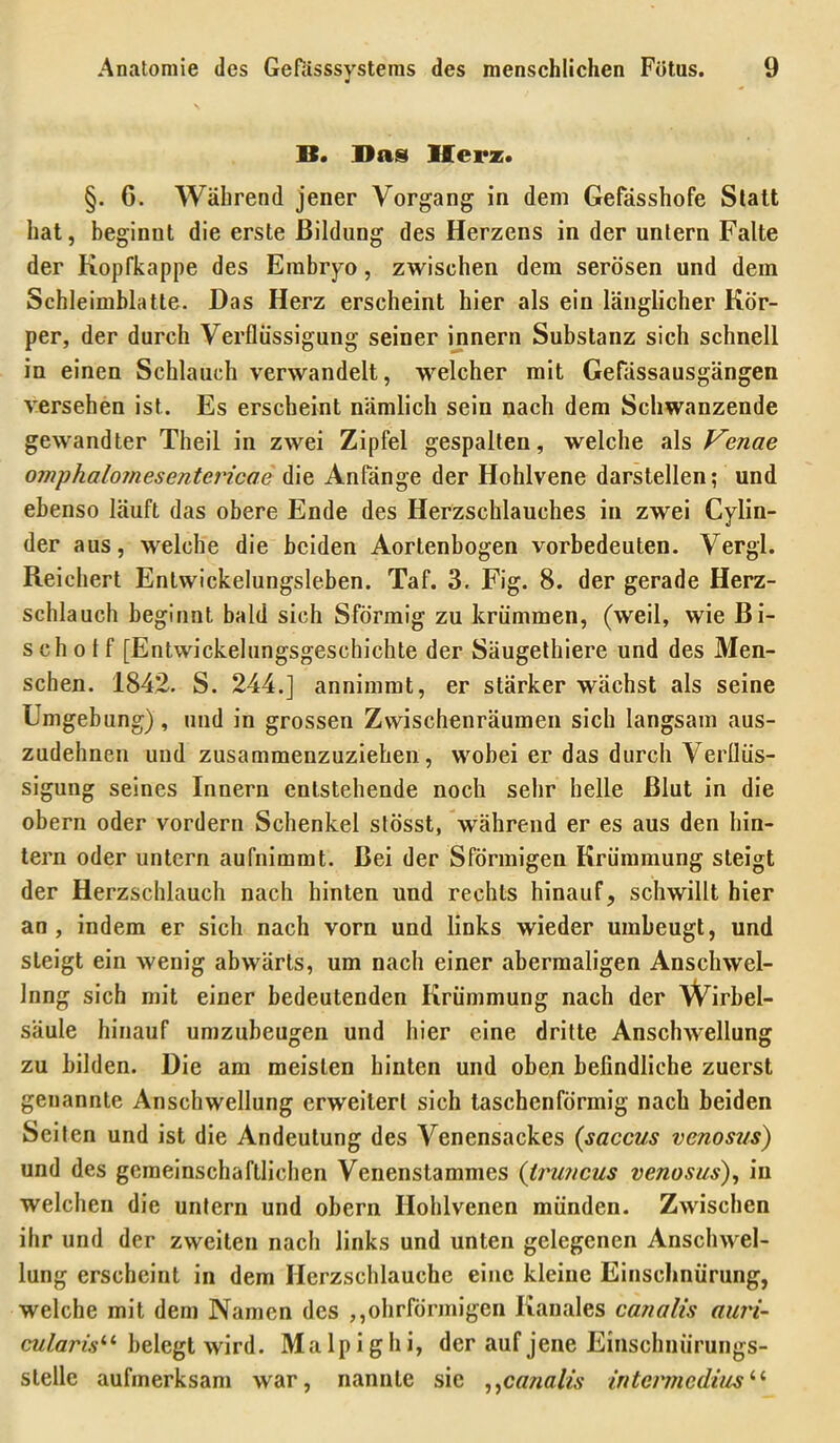 B. Das Herz. §. 6. Während jener Vorgang in dem GeFässhofe Statt hat, beginnt die erste Bildung des Herzens in der untern Falte der Kopfkappe des Embryo, zwischen dem serösen und dem Schleimblatte. Das Herz erscheint hier als ein länglicher Kör- per, der durch Verflüssigung seiner innern Substanz sich schnell in einen Schlauch verwandelt, welcher mit Gefassausgängen versehen ist. Es erscheint nämlich sein nach dem Schwanzende gewandter Theil in zwei Zipfel gespalten, welche als Venae omphalojnesentencae die Anfänge der Hohlvene darstellen; und ebenso läuft das obere Ende des Herzschlauches in zwei Cylin- der aus, welche die beiden Aortenbogen vorbedeuten. Vergl. Reichert Entwickelungsieben. Taf. 3. Fig. 8. der gerade Herz- schlauch beginnt bald sich Sförmig zu krümmen, (weil, wie Bi- scholf [Entwickelungsgeschichte der Säugethiere und des Men- schen. 1842. S. 244.] annimmt, er stärker wächst als seine Umgebung), und in grossen Zwischenräumen sich langsam aus- zudehnen und zusammenzuziehen, wobei er das durch Verflüs- sigung seines Innern entstehende noch sehr helle Blut in die obern oder vordem Schenkel stösst, während er es aus den hin- tern oder untern aufnimmt. Bei der Sförmigen Krümmung steigt der Herzschlauch nach hinten und rechts hinauf, schwillt hier an, indem er sich nach vorn und links wieder umbeugt, und steigt ein wenig abwärts, um nach einer abermaligen Anschwel- lung sich mit einer bedeutenden Krümmung nach der Wirbel- säule hinauf umzubeugen und hier eine dritte Anschwellung zu bilden. Die am meisten hinten und oben befindliche zuerst genannte Anschwellung erweitert sich taschenförmig nach beiden Seiten und ist die Andeutung des Venensackes {saccus vcnosus) und des gemeinschaftlichen Venenstammes {iruncus venosus), in welchen die untern und obern Hohlvenen münden. Zwischen ihr und der zweiten nach links und unten gelegenen Anschwel- lung erscheint in dem Herzschlauche eine kleine Einschnürung, welche mit dem Namen des ,,ohrförmigen Kanales canalis aun- mlaris'-'- belegt wird. Ma Ip i g h i, der auf jene Einschnürungs- stelle aufmerksam war, nannte sie ,^canalis intcrmcdim'''-