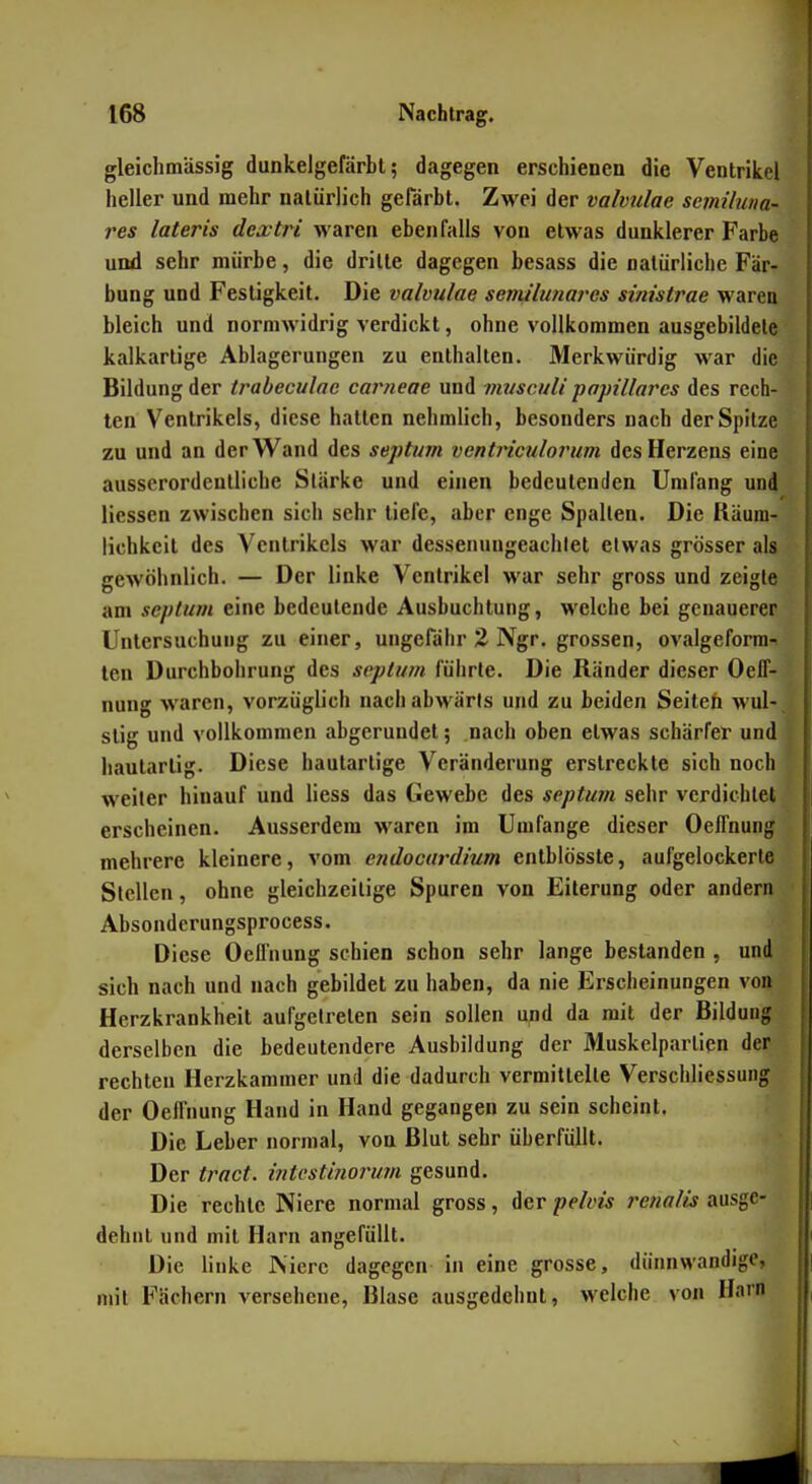 gleichmässig dunkelgefärbt; dagegen erschienen die Ventrikel heller und mehr natürlich gefärbt. Zwei der valvulae scmiluna- res lateris dextri waren ebenfalls von etwas dunklerer Farbe und sehr mürbe, die dritte dagegen besass die natürliche Fär- bung und Festigkeit. Die valvulae semilunai'es sinistrae waren bleich und normwidrig verdickt, ohne vollkommen ausgebildete kalkartige Ablagerungen zu enthalten. Merkwürdig war die Bildung der trabeculac carneae und muscuU popillares des rech- ten Ventrikels, diese hatten nehmlich, besonders nach der Spitze zu und an der Wand des septum ventriculorum des Herzens eine ausserordentliche Stärke und einen bedeutenden Umfang und Hessen zwischen sich sehr tiefe, aber enge Spalten. Die Räum- lichkeit des Ventrikels war dessenuugeachlet etwas grösser als gewöhnlich. — Der linke Ventrikel war sehr gross und zeigte am seplum eine bedeutende Ausbuchtung, welche bei genauerer Untersuchung zu einer, ungefähr 2 Ngr, grossen, ovalgeforra-i len Durchbohrung des septuin führte. Die Ränder dieser OelT- nung waren, vorzüglich nach abwärts und zu beiden Seiten wul-, slig und vollkommen abgerundet; nach oben etwas schärfet und hautartig. Diese hautartige Veränderung erstreckte sich noch weiter hinauf und liess das Gewebe des septum sehr verdichtet erscheinen. Ausserdem waren im Umfange dieser OelTnung mehrere kleinere, vom endocurdium enlblösste, aufgelockerte Stellen, ohne gleichzeitige Spuren von Eiterung oder andern Absonderungsprocess. Diese Oeflnung schien schon sehr lange bestanden , und sich nach und nach gebildet zu haben, da nie Erscheinungen von Herzkrankheit aufgetreten sein sollen u^id da mit der Bildung derselben die bedeutendere Ausbildung der Muskelpartien der rechten Herzkammer und die dadurch vermittelte Verschliessung der Oeflnung Hand in Hand gegangen zu sein scheint. Die Leber normal, von Blut sehr überfüllt. Der tract. irttcstinoi'um gesund. Die rechte Niere normal gross, der pelvis renalis ausge- dehnt und mit Harn angefüllt. Die linke PSierc dagegen in eine grosse, dünnwandige, mit Fächern versehene. Blase ausgedehnt, welche von Harn