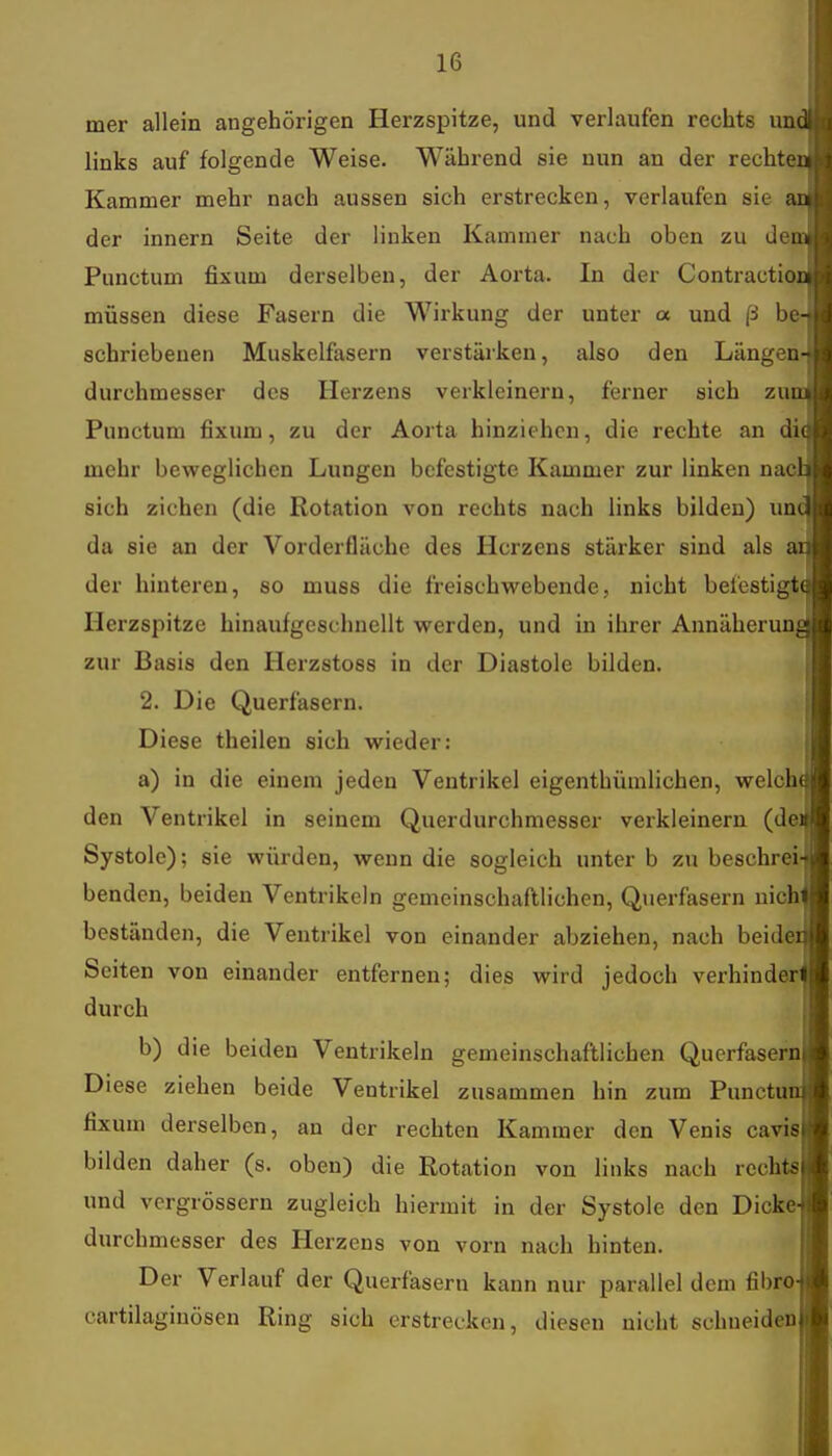 mer allein angehörigen Herzspitze, und verlaufen rechts und links auf folgende Weise. Während sie nun an der rechten Kammer mehr nach aussen sich erstrecken, verlaufen sie aa der innern Seite der linken Kammer nach oben zu den» Punctum fixum derselben, der Aorta. In der Contractioni müssen diese Fasern die Wirkung der unter a und ß be- schriebenen Muskelfasern verstärken, also den Läng u- durchmesser des Herzens verkleinern, ferner sich zum Punctum fixum, zu der Aorta hinziehen, die rechte an die mehr beweglichen Lungen befestigte Kammer zur linken nacb sich ziehen (die Rotation von rechts nach links bilden) unu da sie an der Vorderfläche des Herzens stärker sind als ar der hinteren, so muss die freischwebende, nicht befestigte Herzspitze hinaufgeschnellt werden, und in ihrer Annäherung zur Basis den Herzstoss in der Diastole bilden. 2. Die Querfasern. Diese theilen sich wieder: a) in die einem jeden Ventrikel eigenthümlichen, welche den Ventrikel in seinem Querdurchmesser verkleinern (den Systole); sie würden, wenn die sogleich unter b zu beschrei- benden, beiden Ventrikeln gemeinschaftlichen, Querfasern nich beständen, die Ventrikel von einander abziehen, nach beide Seiten von einander entfernen; dies wird jedoch verhinder durch b) die beiden Ventrikeln gemeinschaftlichen Querfasern Diese ziehen beide Ventrikel zusammen hin zum Punctu fixum derselben, an der rechten Kammer den Venis cavis bilden daher (s. oben) die Rotation von links nach rechts und vergrössern zugleich hiermit in der Systole den Dicke durchmesser des Herzens von vorn nach hinten. Der Verlauf der Querfasern kann nur parallel dem fibro cartilagiuösen Ring sich erstrecken, diesen nicht schneiden