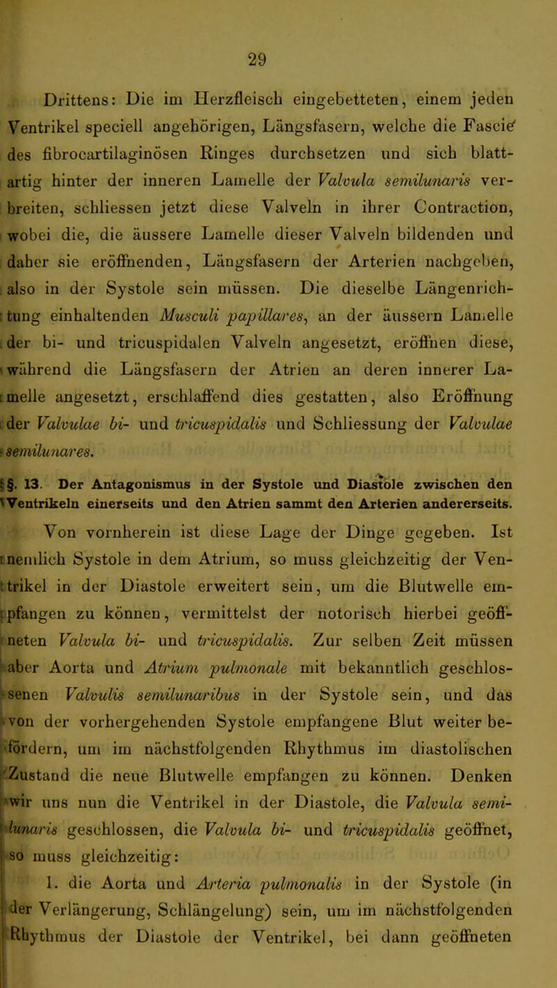 Drittens: Die im Herzfleiscb eingebetteten, einem jeden Ventrikel speciell ungehörigen, Längsf'asern, welche die Fascie' des fibrocaxtilaginösen Ringes durchsetzen und sich blatt- artig hinter der inneren Lamelle der Valvula semilunaris ver- ; breiten, schliessen jetzt diese Valveln in ihrer Contraction, 1 wobei die, die äussere Laraelle dieser Valveln bildenden und daher sie eröffnenden, Längsfasern der Arterien nachgeben, 1 also in der Systole sein müssen. Die dieselbe Längenrich- ttung einhaltenden Musculi papilläres^ an der äussern Laniclle ider bi- und tricuspidalen Valveln angesetzt, eröffnen diese, »während die Längsfasern der Atrien an deren innerer La- tmelle angesetzt, erschlaffend dies gestatten, also Eröffnung i der Valvulae bi- und tncuspidalis und Schliessung der Vahulae i semilunares. i§. 13. Der Antagonismus in der Systole und Diastole zwischen den ^Ventrikeln einerseits und den Atrien sammt den Arterien andererseits. Von vornherein ist diese Lage der Dinge gegeben. Ist rneiulich Systole in dem Atrium, so muss gleichzeitig der Ven- ttrikel in der Diastole erweitert sein, um die Blutwelle em- (pfangen zu können, vermittelst der notorisch hierbei geöff- meten Valvulu bi- und tricuspidalis. Zur selben Zeit müssen i^aber Aorta und Atrium pulmonale mit bekanntlich geschlos- itsenen Valvulis semilunaribus in der Systole sein, und das ^von der vorhergehenden Systole empfangene Blut weiter be- t'fordern, um im nächstfolgenden Rhythmus im diastolischen ''-Zustand die neue Blutwelle empfangen zu können. Denken *wir uns nun die Ventrikel in der Diastole, die Valvula semi- dimaris geschlossen, die Valvula bi- und tricuspidalis geöffnet, <8o muss gleichzeitig: 1. die Aorta und Ärteria pulmonalis in der Systole (in der Verlängerung, Schlängelung) sein, um im nächstfolgenden Rhythmus der Diastole der Ventrikel, bei dann geöffneten