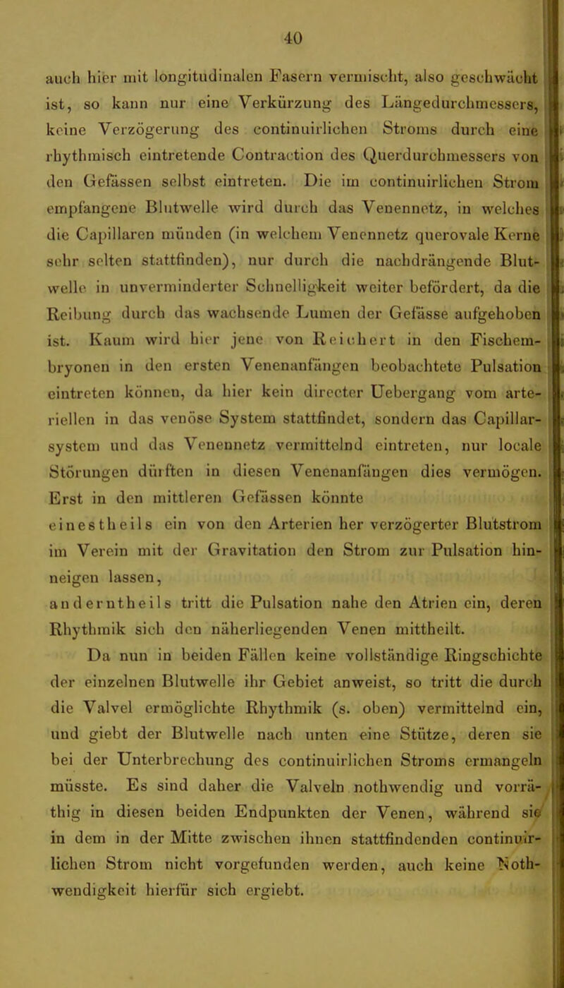 auch hier mit longitudinalen Fasern vermischt, also geschwächt ist, so kann nur eine Verkürzung des Längedurchmesserg, keine Verzögerung des continuirlichen Stroms durch eine rhythmisch eintretende Coutraction des Querdurchmessers von den Gefassen selbst eintreten. Die im continuirlichen Strom empfangene Blutwelle wird durch das Venennotz, in welches die Caplllaren münden (in welchem Venennetz querovale Kerne sehr selten stattfinden), nur durch die nachdrängende Blut- welle in unverminderter Schnelligkeit weiter befördert, da die J Reibung durch das wachsende Lumen der Gefässe aufgehoben ist. Kaum wird hier jene von Reichert in den Fischern- i bryonen in den ersten Venenanfängen beobachtete Pulsation r eintreten können, da hier kein directer Uebergang vom arte- | riellen in das venöse System stattfindet, sondern das Capillar- \, System und das Venennetz vermittelnd eintreten, nur locale Störungen dürften in diesen Venenanfängen dies vermögen. Erst in den mittleren Gefässen könnte einestheils ein von den Arterien her verzögerter Blutstrom im Verein mit der Gravitation den Strom zur Pulsation hin- ;li neigen lassen, anderntheils tritt die Pulsation nahe den Atrien ein, deren j Rhythmik sich den näherliegenden Venen mittheilt. | Da nun in beiden Fällen keine vollständige Ringschichte der einzelnen Blutwelle ihr Gebiet anweist, so tritt die durch die Valvel ermöglichte Rhythmik (s. oben) vermittelnd ein, ■ und giebt der Blutwelle nach unten eine Stütze, deren sie bei der Unterbrechung des continuirlichen Stroms ermangeln ' müsste. Es sind daher die Valveln nothwendig und vorrä- thig in diesen beiden Endpunkten der Venen, während sie in dem in der Mitte zwischen ihnen stattfindenden continuir- 1 liehen Strom nicht vorgefunden werden, auch keine ^^oth- i wendigkeit hierfür sich ergiebt.