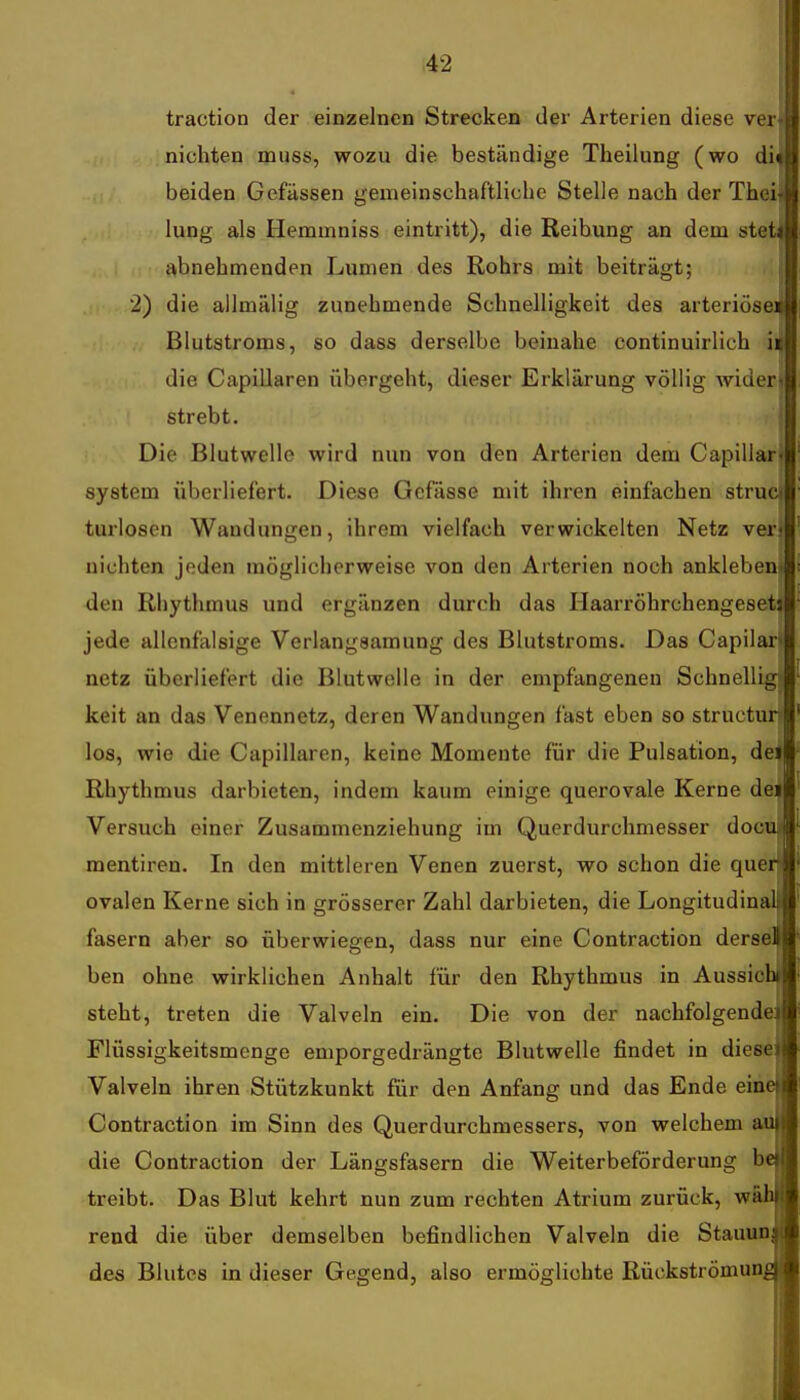 traction der einzelnen Strecken der Arterien diese ver- nichten muss, wozu die beständige Theilung (wo di» beiden Gefüssen gemeinschaftliche Stelle nach der Thei- lung als Hemmniss eintritt), die Reibung an dem steti abnehmenden Lumen des Rohrs mit beiträgt; 2) die allmälig zunehmende Schnelligkeit des arteriös Blutstroms, so dass derselbe beinahe continuirlich il die Capillaren übergeht, dieser Erklärung völlig wider strebt. Die Blutwelle wird nun von den Arterien dem Capillar System überliefert. Diese Gcfässe mit ihren einfachen struoi turlosen Wandungen, ihrem vielfach verwickelten Netz ver nichten jeden möglicherweise von den Arterien noch ankleben* den Rhythmus und ergänzen durch das Haarröhrchengeseti jede allenfalsige Verlangsamung des Blutstroms. Das Capilan netz überliefert die Blutwelle in der empfangeneu Schnellig: keit an das Venennetz, deren Wandungen fast eben so structun los, wie die Capillaren, keine Momente für die Pulsation, deJ Rhythmus darbieten, indem kaum einige querovale Kerne dei Versuch einer Zusammenziehung im Querdurchmesser docuj mentiren. In den mittleren Venen zuerst, wo schon die queri ovalen Kerne sich in grösserer Zahl darbieten, die Longitudinal fasern aber so überwiegen, dass nur eine Contraction ders ben ohne wirklichen Anhalt für den Rhythmus in Aussiel steht, treten die Valveln ein. Die von der nachfolgend' Flüssigkeitsmenge emporgedrängte Blutwelle findet in die Valveln ihren Stützkunkt für den Anfang und das Ende ein^ Contraction im Sinn des Querdurchmessers, von welchem die Contraction der Längsfasern die Weiterbeförderung b treibt. Das Blut kehrt nun zum rechten Atrium zurück, wi rend die über demselben befindlichen Valveln die Stauun, des Blutes in dieser Gegend, also ermöglichte Rückströmunj