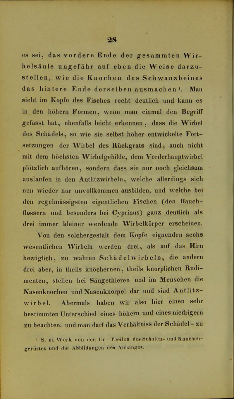 2S RS sei, das vordere Ende der gesammten Wir- belsäule ungefähr auf eben die Weise darzu- stellen, wie die Knochen des Schwanzbeines das hintere Ende derselben ausmachen'. Man sieht ira Kopfe des Fisches recht deutlich und kann es in. den höhern Formen, wenn man einmal den Begriff gefasst hat, ebenfalls leicht erkennen, dass die Wirbel des Schädels, so wie sie selbst höher entwickelte Fort- setzungen der Wirbel des Rückgrats sind, auch nicht mit dem höchsten Wirbelgebilde, dem Vorderhauptwirbel plötzlich aufhören, sondern dass sie nur noch gleichsam auslaufen in den Antlitzwirbelu, welche allerdings sich nun wieder nur unvollkommen ausbilden, und welche bei den regelmässigsten eigentlichen Fischen (den Bauch- flossern und besonders bei Cyprinus) ganz deutlich als drei immer kleiner werdende Wirbelkörper erscheinen. Von den solchergestalt dem Kopfe eignenden sechs wesentlichen Wirbeln werden drei, als auf das Hirn bezüglich, zu wahren Schädel wirbeln, die andern drei aber, in theils knöchernen, theils kiiorplichen Rudi- menten, stellen bei Säugethieren und im Menschen die Nasenknochen und Nasenknorpel dar und sind Antlitz- wirbel. Abermals haben wir also hier einen sehr bestimmten Unterschied eines höhern und eines niedrigem zu beachten, und man darf das Verhältniss der Schädel - zu ' S. III. Werk vou den Ur-Tlieilen des Sclialeu-und Kuocheii- geriistes und die Abbildungen des \ulmuß;e9.