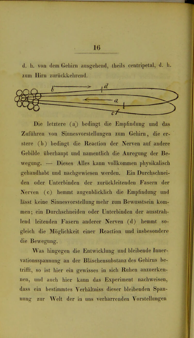 d. Ii. von dem Geliirn ausgelieiid, theils centripetal, d. Ii zum Hirn zurückkehrend. Die letztere (a} bedingt die Empfindung und das Zuführen von Sinnesvorstelhingen zum Gehirn, die er- stere (b) bedingt die Reaction der Nerven auf andere Gebilde überhaupt und namentlich die Anregung der Be- wegung. — Dieses Alles kann vollkommeu physikalisch gehandhabt und nachgewiesen werden. Ein Durchschnei- den oder Unterbinden der zurückleitenden Fasern der Nerven (c) hemmt augenblicklich die Empfindung und lässt keine Sinnesvorstellung mehr zum Bewusstsein kom- men; ein Durchschneiden oder Unterbinden der ausstrah- lend leitenden Fasern anderer Nerven (d) hemmt so- gleich die Möglichkeit einer Reaction und insbesondere die Bewegung. Was hingegen die Entwicklung und bleibende luner- vationsspannung au der Bliischensubstanz des Gehirns be- trifft, so ist hier ein gewisses in sich Ruhen anzuerken- nen, und auch hier kann das Experiment nachweisen, dass ein bestimmtes Verhiiltniss dieser bleibenden Span- nung zur Welt der in uns verharrenden Vorstellungen