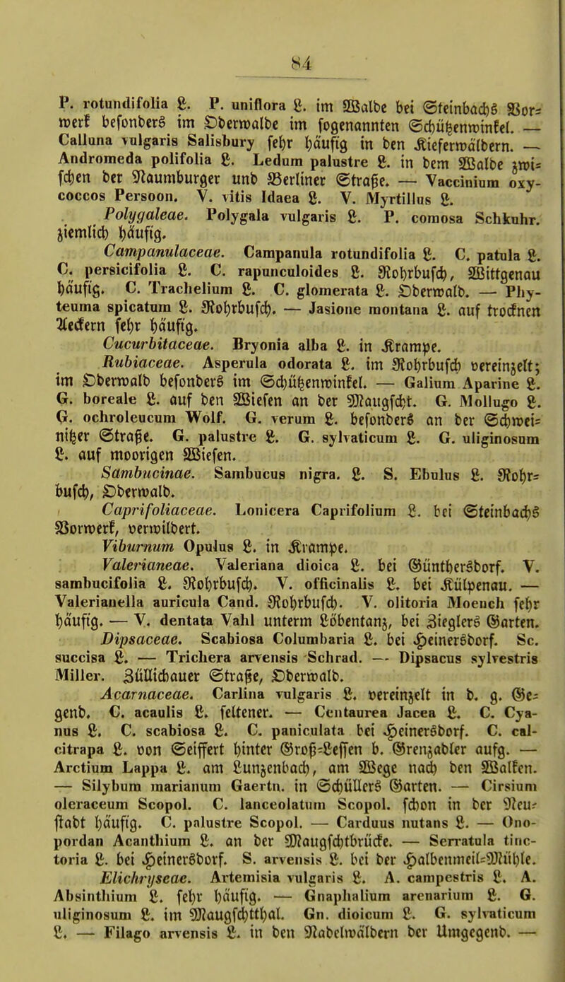 P. rotundifolia g. P. uniflora g. im SBalbe bei ©feinbadjg SSors mxt befonberS im £)ber»ralbc im foßcnannten ©cbü^emrinfel. — Calluna vulgaris Salisbury fe^r t^äufig in bcn ^iefenüdlbcrn. Andromeda polifolia g. Ledura palustre g. in bem SBalbc ;n)i= fc^cn bcr Sflaumburger unb berliner ©tra^e. — Vaccinium oxy- coccos Persoon. V. vitis Idaea g. V. Myrtillus g. Polygaleae. Polygala vulgaris g. P. coraosa Schkuhr. jicmlid) i^ciufi'g. Campanulaceae. Campanula rotundifolia g. C. patula g. C. persicifolia g. C. rapunculoides g. ^^ol)^bufc^, SBJittgcnau häufig. C. Trachelium g. C. gloinerata g. £)bern)otb. — Phy- teurna spicatum g. SJol^rbufd). — Jasione raontana g. auf trorfncn iltäivn fc{)r t)ci'uftg. Cucurbitaceae. Bryonia alba g. in krampe. Rubiaceae. Asperula odorata g. im 9?ot)rbufd) oereinjclt; im £)bcwalb befonberg im ®d)üfeenn)infcl. — Galium Aparine g. G. boreale g. ouf bcn SBicfcn an bcr 9)?ait9fd)t. G. JMollugo g. G. ochroleucum Wolf. G. verum g. befonbcrS an bcr ©cbnjcis nifeer ©tra^C. G. palustre g. G. syhaticum g. G. uliginosnm g. auf moorigen SSSiefen. Sambucinae. Sambucus nigra, g. S. Ebulus g. fRo))X= bufd), Öbtrwalb. Capi'ifoliaceae. Loiiicera Caprifolium g. bei <StCtnbad)ä SSorroerf, üenoilbert. Viburnum OpuJua g. in Äiam^e. Valerianeae. Valeriana dioica g. bei ©üntbcräborf. V. sambucifolia g. Stobrbufd^. V. officinalls g. bei Äülpenau. — Valerianella auricula Cand. 9?obrbufd). V. olitoria Moench fe^r i)a'uft9. — y. dentata Vahl unterm gobentanj, bei äifQlerg ©arten. Dipsaceae. Scabiosa Columbaria g. bei ^eineröborf. Sc. succisa g. — Trichera arvensis Schrad. — Dipsacus sylvestris Miller. 3üUtcbauer (Strafe, £)bern)alb. Acarnaceae. Carlina vulgaris g. oerctnjclt in b. g. ©C^ QCnb. C. acaulis g. feltcncr. — Centaurea Jacea g. C. Cya- nus g. C. scabiosa g. C. paniculata bei .^eineröborf. C. cal- citrapa g. üon ©ciffcrt bintcr ®ro^-gef|en b. ©renjabter aufg. — Arctium Lappa g. am gunjenbocb, am SBegc na^ bcn SBalfcn. — Silybum marianum Gaertn. in (3ct)ÜUcr6 ©arten. — Cirsiuni oleraceum Scopol. C. lanceolatum Scopol, fdbon in ber 'Dlcu- flabt bauftg. C. palustre Scopol. — Carduus nutans g. — Ono- pordan Acanthium g. an ber SKaugfd)tbrürfc. — Serratula tinc- toria g. bei ^cincrSborf. S. arvensis g. bei ber ^albenmei(=?0?üb(e. Elichryseac. Ai'temisia vulgaris g. A. campestris g. A. Absinthium g. fet)r bäufig. — Gnapbalium arenarium g. G. uliginosum g. im SKaugfd^ttbal. Gn. dioicum g. G. sylvaticum g, — Filago arvensis g. in bcn 9Zabeln)dlbcrn bcr Umgcgenb. —