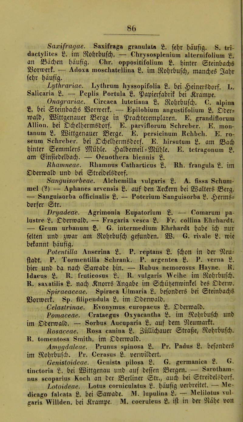 Saxifragae. Saxifraga granulatn 8. fc^)r \)m%, S. tri- dactylites ^. im Sloiixhü^ä). — Chrysosplenium alternifolium g. an S5äd)en (jäufig. Chr. oppositifolium £. l)inter Oteinbacfcö SSorwerf. — Adoxa moschatelliua g. im 5KoI)rbufd), mand)cg Sa^r fe^r häufig. Lythrariae. Lythrum liyssopifolia bei ^etnerSborf. L. Salicaria fi. — Peplis Portula g. ^a^)icrfabriE bei Ärampe. Onagrariae. Circaea lutetiana 8. 9Jol)rbufd). C. alpina 8. bei vgteinbad)g SSorwerf. — Epilobium angustifolium g. £)ber= roalb, SBittgcnauer S5erge in ^rad)te);cmplaren. E. grandiflorum Allion. bei SDd)etf)ermgborf. E, parviflorum Schreber. E. mon- tanum SBittgenauer SSerge. E. persicinum Rchbch. E. ro- seum Schreber. bei £)4)ell)ermgborf. E. hirsutam g. am S5ad) hinter ©emmlerg 9J?öt)(e. .^albemei(=SKü^Ie. E. tetragonum g. am ßinftebetbac^. — Oenothera biennis g. Rhamneae. Rharanus Catharticus g. Rh. frangula g. im Dbcrwatb unb bei ©trcibclöborf. Sanguisorbeae. Alcherailla vulgaris g. A. fissa Schnm- mel (1) — Aphanes arvensis g. auf ben Zedtxn bei SBalterg S5erg. — Sanguisorba officinalis g. — Poterium Sanguisorba g. ^ermö= borfer @tr. Dryadeae. Agrimonia Eupatoriura g. — Comarum pa- lustre g. SDberwalb. — Fragaria vesca g. Fr. collina Ehrhardt. — Geum urbanuiii g. G. intermedium Ehrhardt t)abe id) nur feiten unb swar am Sto^rbufd) gefunben. SOS. G. rivale g. wie befannt t)äufig. Potentilla Anserina g. P. reptans g, fd)on in ber 9^eu= jlabt. P. Tormentilla Schrank. P. argentea g. P. verna g. i)ier unb ba nad) ©arcabc l)in. — Rubus nemorosus Hayna. K. Idaeus g. R. fruticosus g. R. vulgaris Weihe im 9vobrbuf(^). R. saxatilis g. md) Änorrö 2tngabe im ©d^üfjenminfet beö Sbenp. Spiraeaceae. Spiraea Ulmaria g. befonberS bei ©teinbac^ö SSorwerf. Sp. filipendula g. im Dbemalb. Celastrinae. Evonymus europaeus g. £)bcrtt)alb. Pomaceae. Crataegus Oxyacantha g. im 9?o^rbufd) unb im SDbcrroalb. — Sorbus Aucuparia g. auf bem i^^eumarft. Rosaceae. Rosa canina g. 3üUid)auer ©tra^c, 9?ot)rbufc^. R. tomentosa Smith, im £)bema(b. Amygdaleae. Prunus spinosa g. Pr. Padus g. bcfonberS im Slo^rbufcb. Pr, Cerasus g. »cvwilbcrt. Genistoideae. Genista pilosa g. G. gernianica g. G. tinctoria g. bei SBittgenau unb auf beffcn ^Bergen. — Sarotham- I1U8 scoparius Koch an ber berliner ©tr., au^ bei ©treibel'oborf. Lotoideae. Lotus corniculatus g. ijäufig verbreitet. — IMe- dicago falcata g. bei ©awabc. M. lupulina g. — Melilotus vul- garis Winden, bei ilrampc. M. coeruleus g. i|l in ber iRa^c von