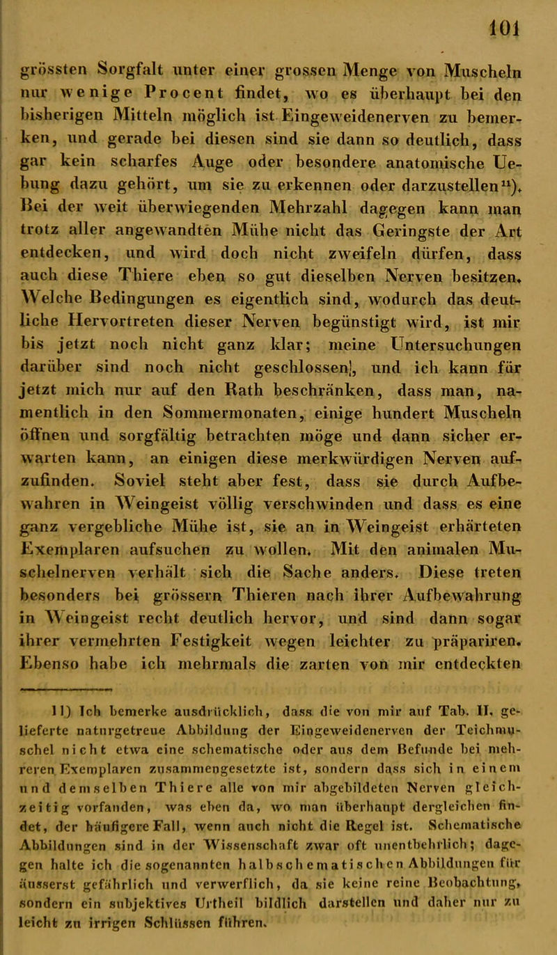 grössten Sorgfalt unter einer grossen Menge von Muscheln nur wenige Procent findet, wo es überhaupt bei den bisherigen Mitteln möglich ist Eingeweidenerven zu bemer- ken, und gerade bei diesen sind sie dann so deutlich, dass gar kein scharfes Auge oder besondere anatomische Ue- bung dazu gehört, um sie zu erkennen oder darzustellen11). Bei der weit überwiegenden Mehrzahl dagegen kann man trotz aller angewandten Mühe nicht das Geringste der Art entdecken, und wird doch nicht zweifeln dürfen, dass auch diese Thiere eben so gut dieselben Nerven besitzen. Welche Bedingungen es eigentlich sind, wodurch das deut- liche Hervortreten dieser Nerven begünstigt wird, ist mir bis jetzt noch nicht ganz klar; meine Untersuchungen darüber sind noch nicht geschlossen], und ich kann für jetzt mich nur auf den Rath beschränken, dass man, na- mentlich in den Sommermonaten, einige hundert Muscheln öffnen und sorgfältig betrachten möge und dann sicher er- warten kann, an einigen diese merkwürdigen Nerven auf- zufinden. Soviel steht aber fest, dass sie durch Aufbe- wahren in Weingeist völlig verschwinden und dass es eine ganz vergebliche Mühe ist, sie an in Weingeist erhärteten Exemplaren aufsuchen zu wollen. Mit den animalen Mu- schelnerven verhält sich die Sache anders. Diese treten besonders hei grossem Thieren nach ihrer Aufbewahrung in Meingeist recht deutlich hervor, und sind dann sogar ihrer vermehrten Festigkeit wegen leiehter zu präpariren. Ebenso habe ich mehrmals die zarten von mir entdeckten 11) Ich bemerke ausdrücklich, dass die von mir auf Tab. II. ge- lieferte naturgetreue Abbildung der Eingeweidenerven der Teichmu- schel nicht etwa eine schematische oder aus dem Befunde bei meh- reren Exemplaren zusammengesetzte ist, sondern dass sich in einem und demselben Thiere alle von mir abgebildeten Nerven gleich- zeitig vorfanden, was eben da, wo man überhaupt dergleichen fin- det, der häufigere Fall, wenn auch nicht die Regel ist. Schematische Abbildungen sind in der Wissenschaft zwar oft unentbehrlich; dage- gen halte ich die sogenannten halb Schema tischen Abbildungen für äusserst gefährlich und verwerflich, da sie keine reine Beobachtung, sondern ein subjektives Urtheil bildlich darstellcn und daher nur zu leicht zu irrigen Schlüssen führen.