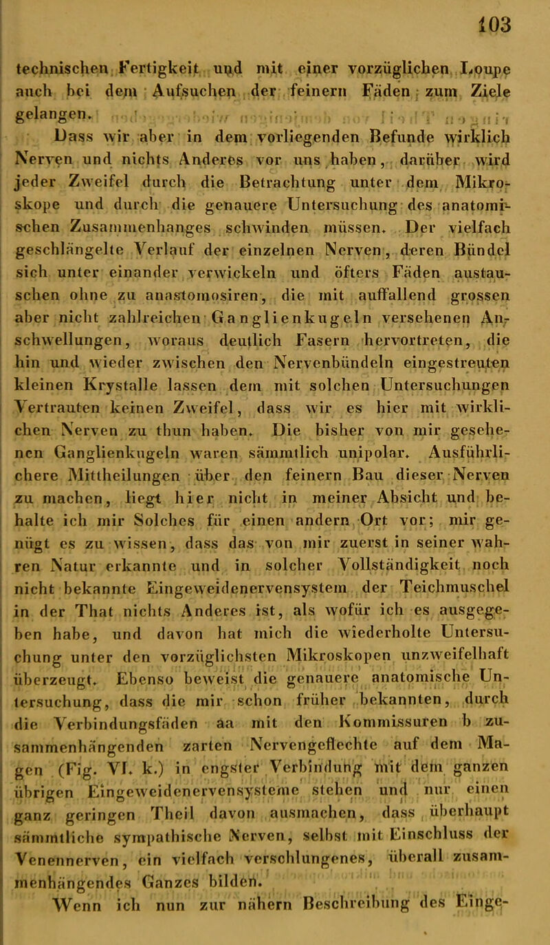 technischen Fertigkeit upd mit einer vorzüglichen Loupe auch hei de/n Aufsuchen der feinem Fäden zum Ziele gelangen. ' j • ,• u > Dass wir aber in dem vorliegenden Befunde wirklich Nerven und nichts Anderes vor uns haben, darüber wird jeder Zweifel durch die Betrachtung unter dem Mikro- skope und durch die genauere Untersuchung des anatomi- schen Zusammenhanges schwinden müssen. Der vielfach geschlängelte Verlauf der einzelnen Nerven, deren Bündel sich unter einander verwickeln und öfters Fäden austau- . • 3 J J • • sehen ohne zu annstomosiren, die mit auffallend grossen aber nicht zahlreichen Ganglienkugeln versehenen An- schwellungen, woraus deutlich Fasern hervortreten, die hin und wieder zwischen den Nervenbündeln eingestreuten kleinen Krystalle lassen dem mit solchen Untersuchungen Vertrauten keinen Zweifel, dass wir es hier mit wirkli- chen Nerven zu thun haben. Die bisher von mir gesehe- nen Ganglienkugeln waren sämmtlich unipolar. Ausführli- chere Mittheilungen über den feinem Bau dieser Nerven zu machen, liegt hier nicht in meiner Absicht und be- halte ich mir Solches für einen andern Ort vor; mir ge- nügt es zu wissen, dass das von mir zuerst in seiner wah- ren Natur erkannte und in solcher Vollständigkeit noch nicht bekannte Eingeweidenervensystem der Teichmuschel in der That nichts Anderes ist, als wofür ich es ausgege- ben habe, und davon hat mich die wiederholte Untersu- chung unter den vorzüglichsten Mikroskopen unzweifelhaft überzeugt. Ebenso beweist die genauere anatomische Un- tersuchung, dass die mir schon früher bekannten, durch die Verbindungsfäden aa mit den Kommissuren b zu- sammenhängenden zarten Nervengeflechte auf dem Ma- gen (Fig. VI. k.) in engster Verbindung mit dem ganzen übrigen Eingeweidenervensysteme stehen und nur einen ganz geringen Theil davon ausmachen, dass überhaupt sämmtliche sympathische Nerven, selbst mit Einschluss der Venennerven, ein vielfach verschlungenes, überall zusam- menhängendes Ganzes bilden. Wenn ich nun zur nähern Beschreibung des Finge-